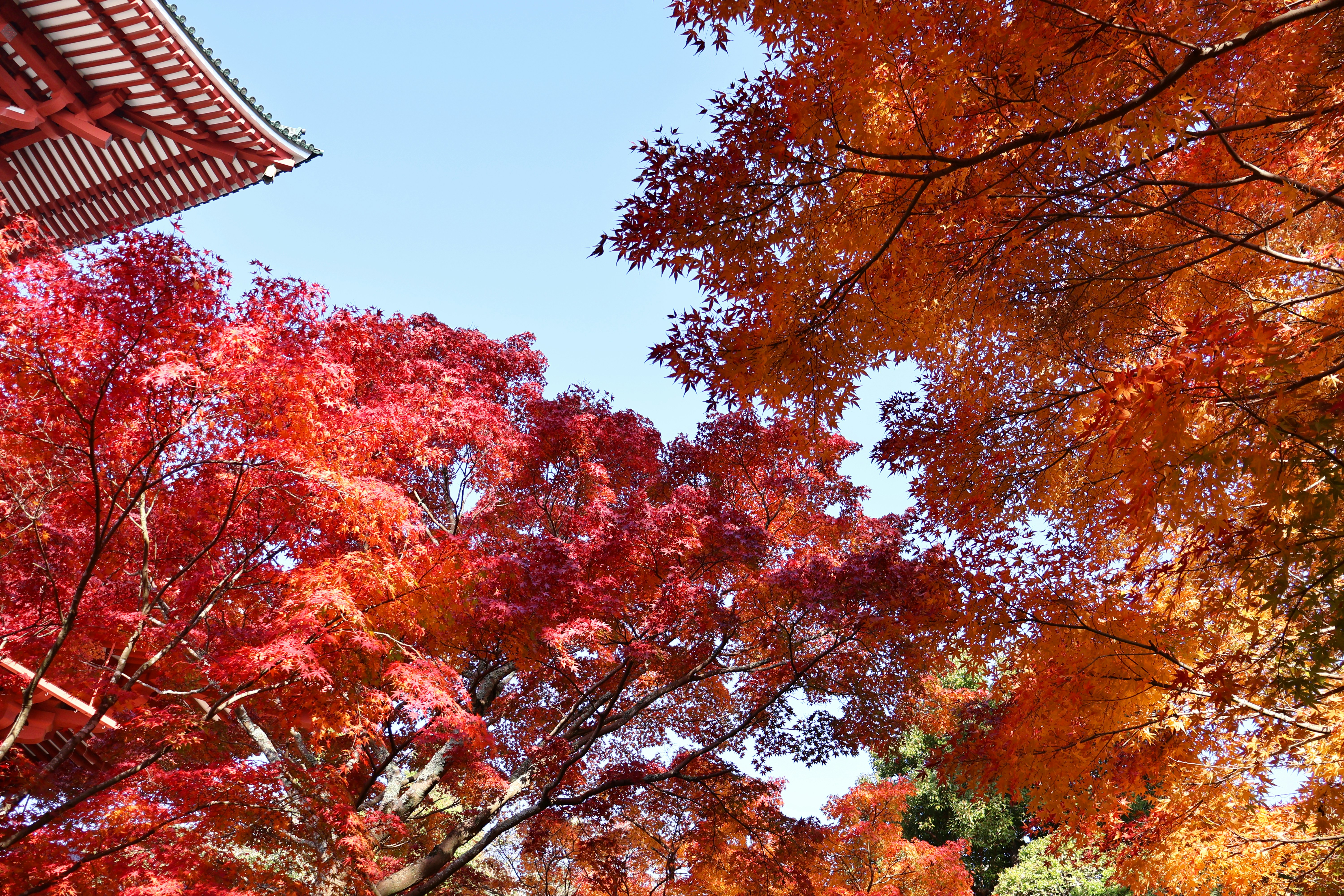 Photo by vickeekiwiwow