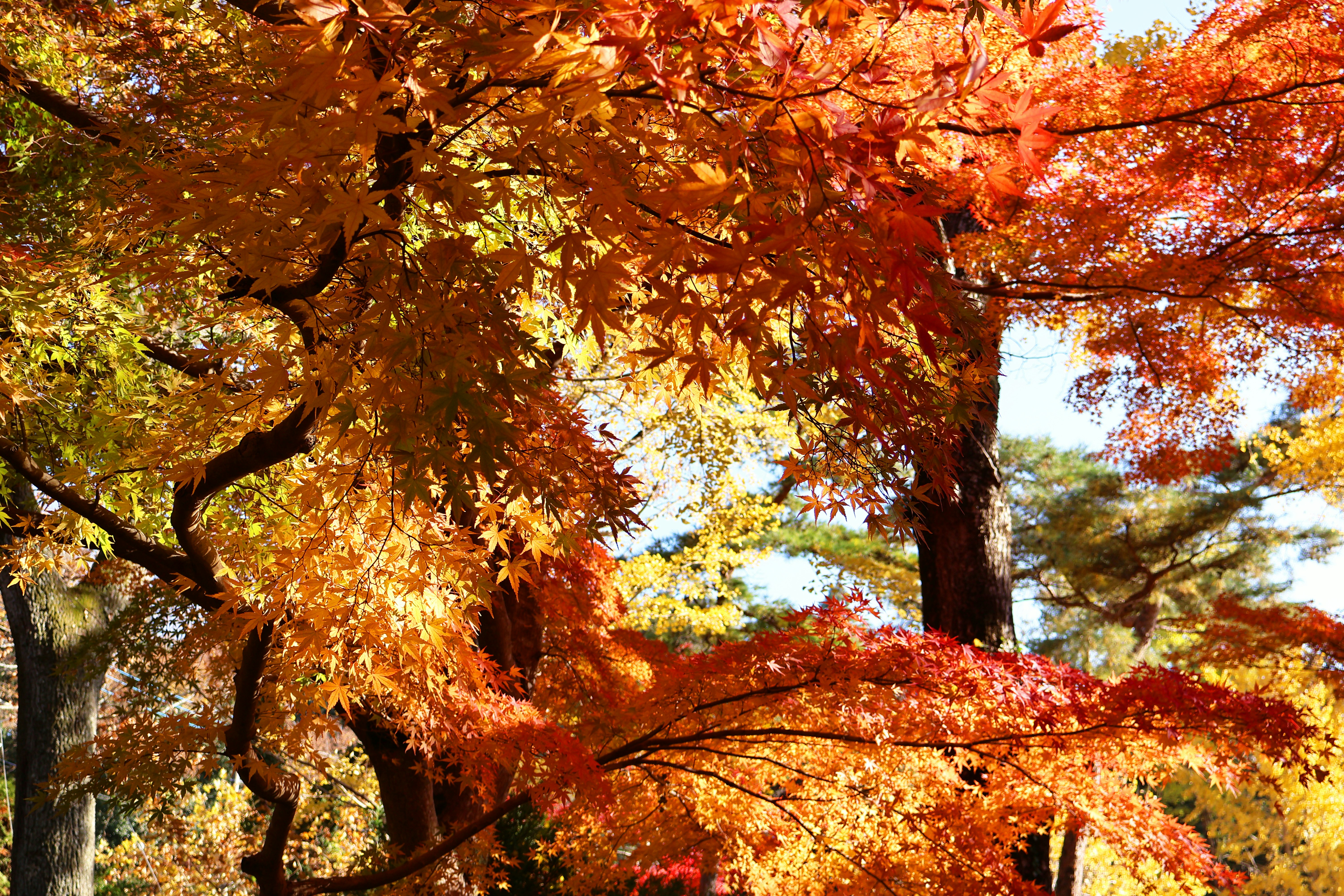 Photo by vickeekiwiwow