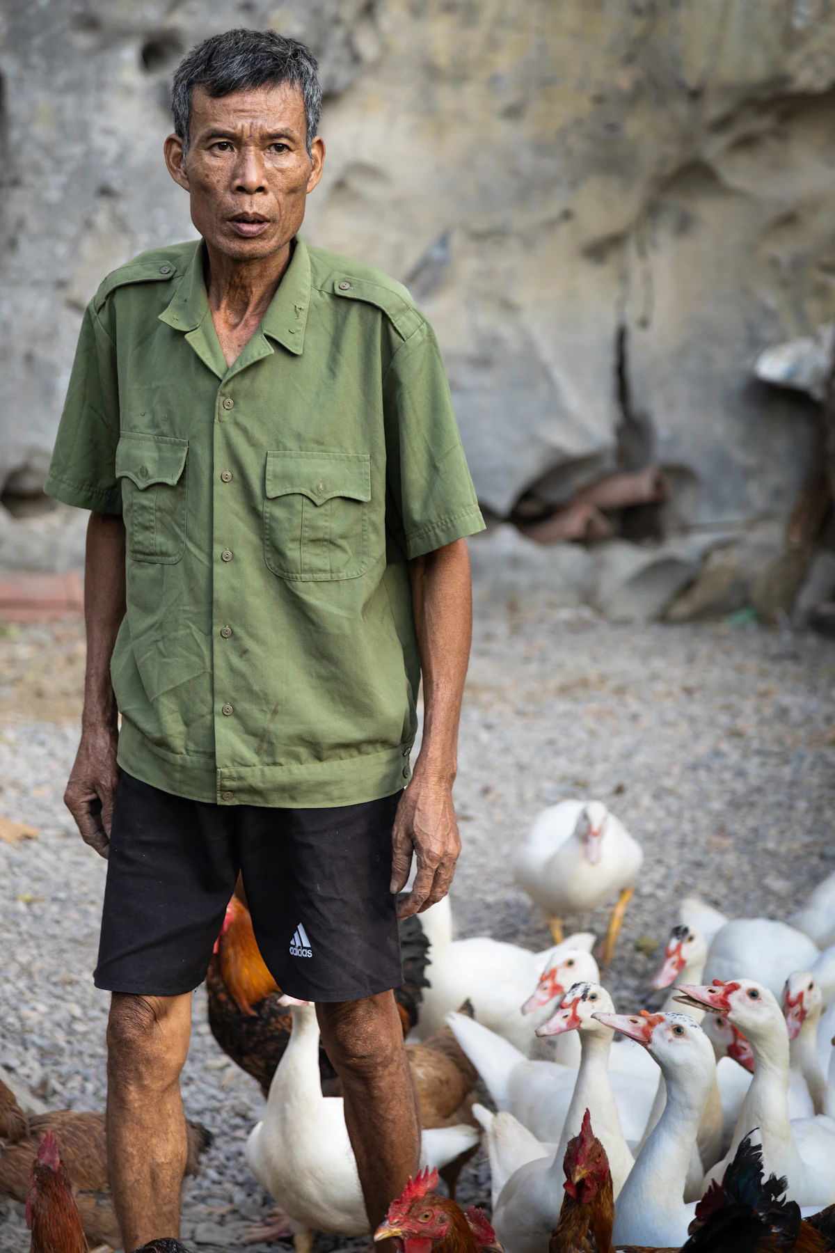 Poultry farmer tending to the flock — the human factor in biosecurity