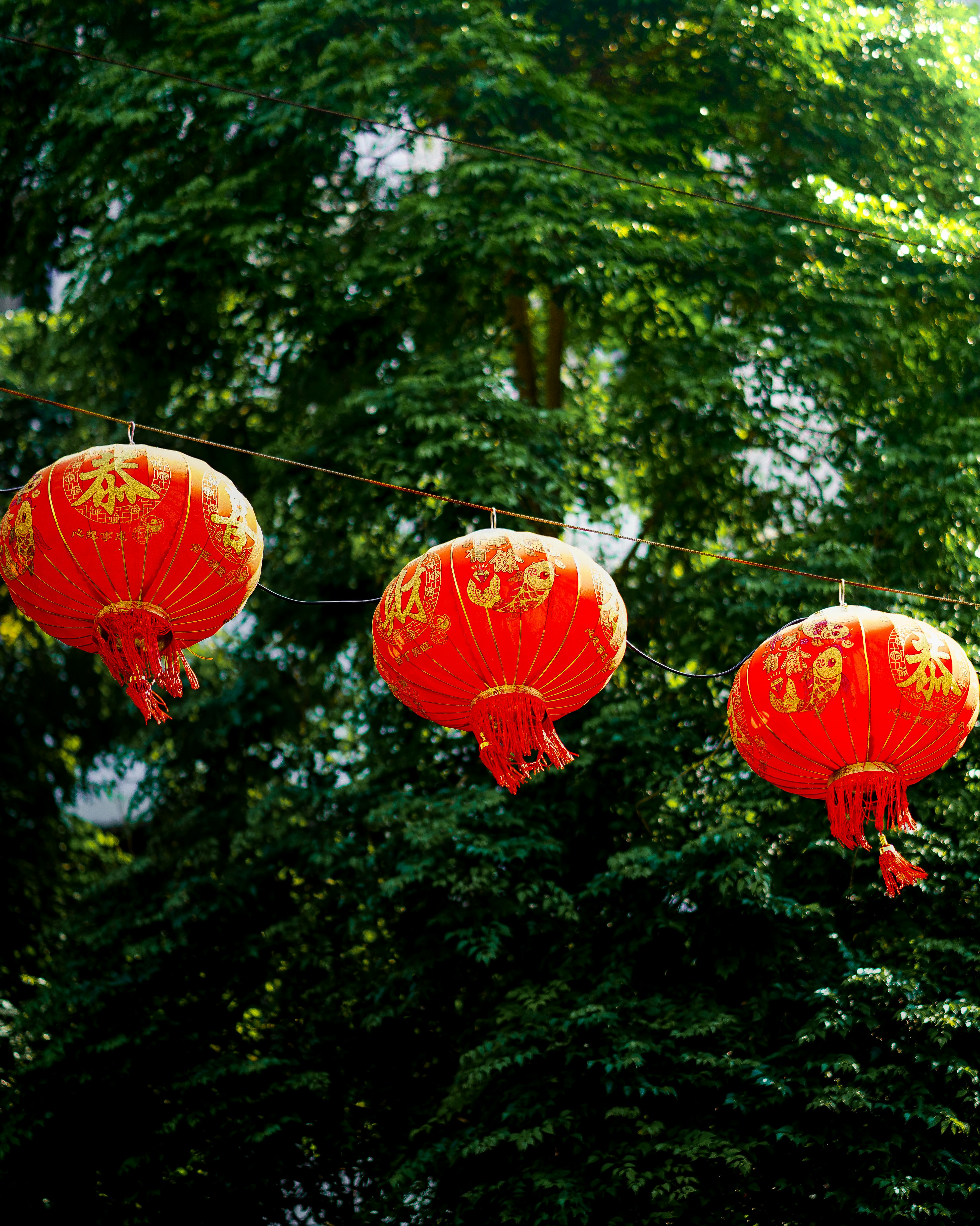 A line of red lanterns hanging from a line