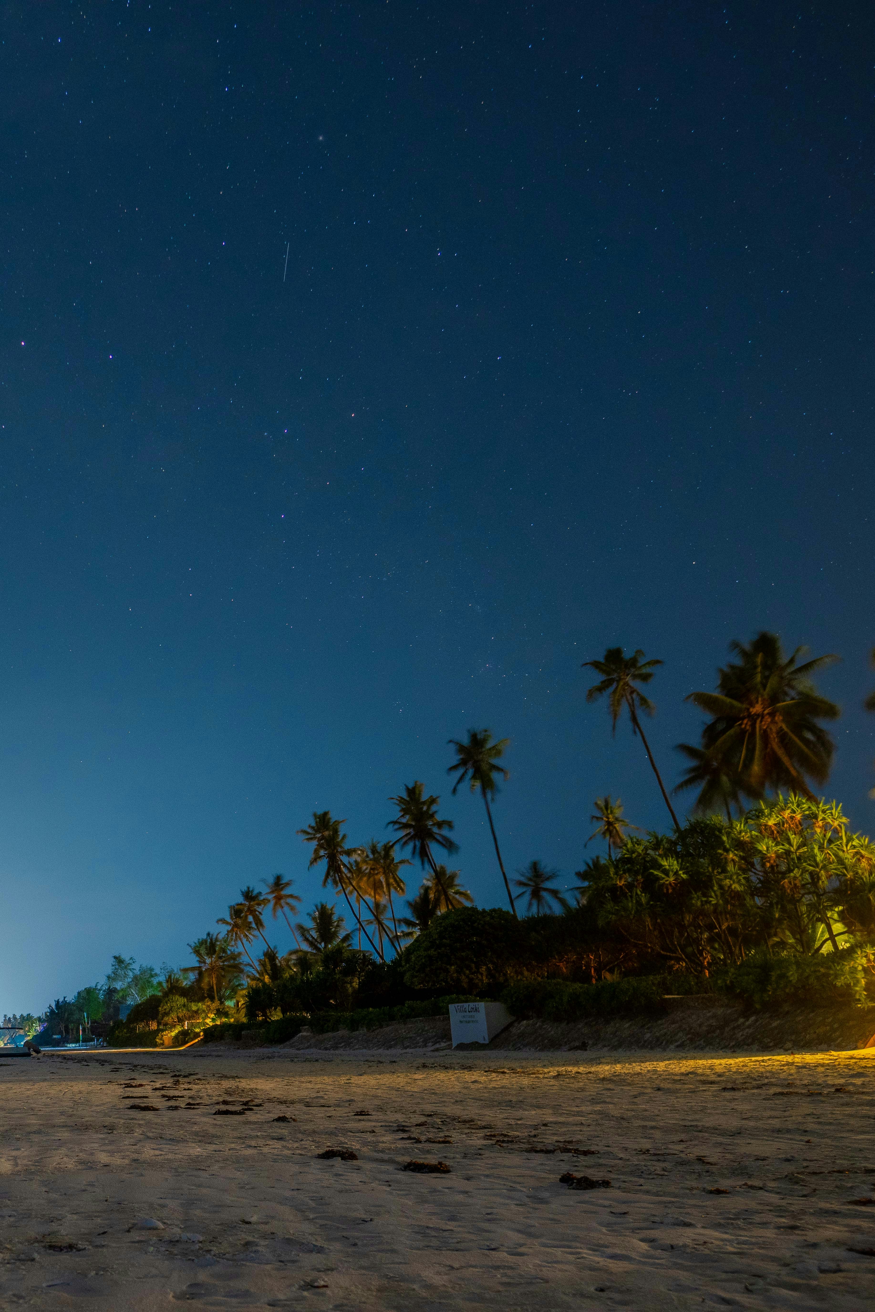 A person standing on a beach at night