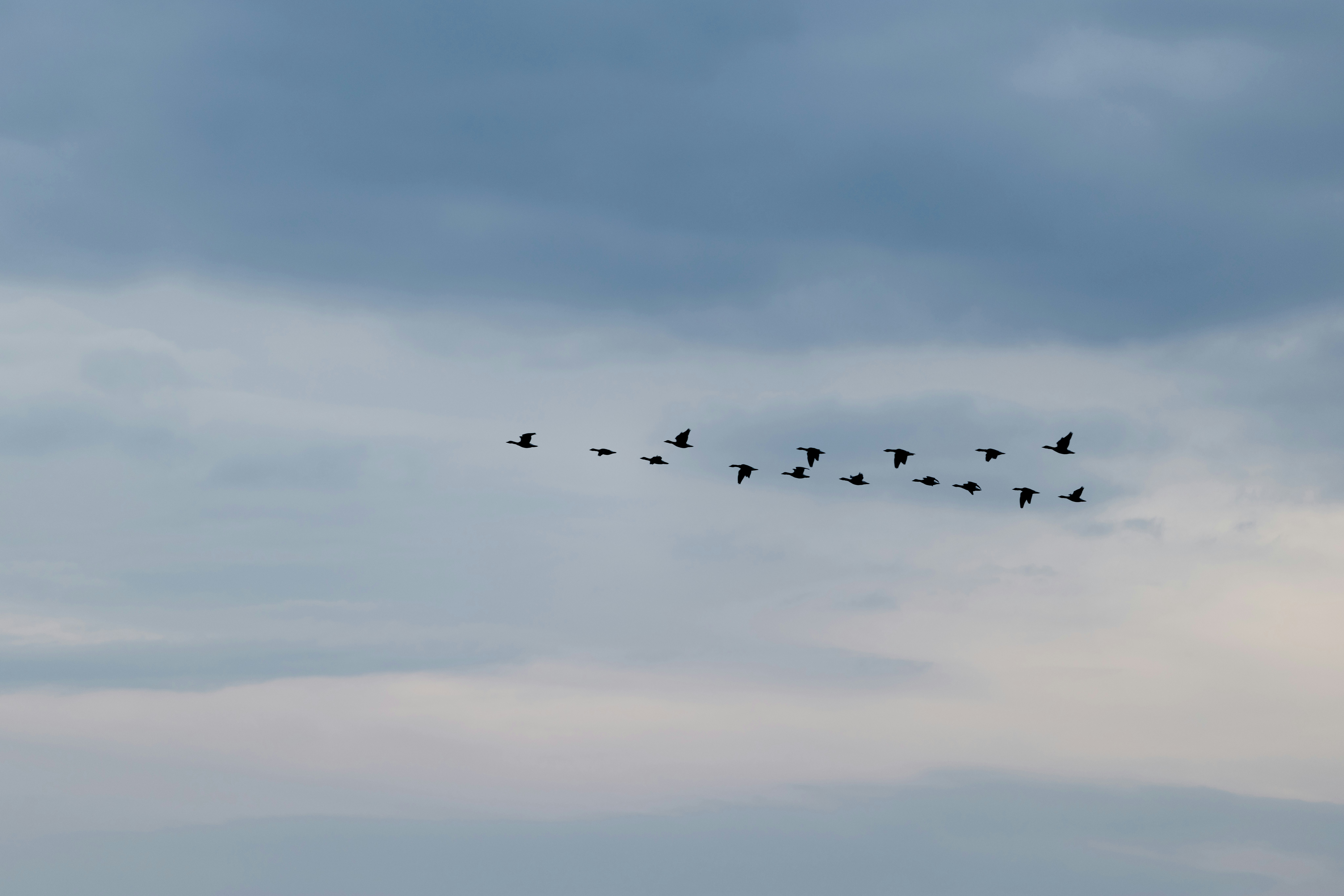 photo-1740230277774-53061eda6e00?ixid=M3wxMjA3fDB8MXxzZWFyY2h8N3x8JUVDJTg0JTlDJUVBJUI1JUFDJTIwJUVEJTlDJUI0JUVBJUIyJThDJUVEJTg1JTk0fGVufDB8fHx8MTc0MTA4OTE2M3ww\u0026ixlib=rb-4.0.3