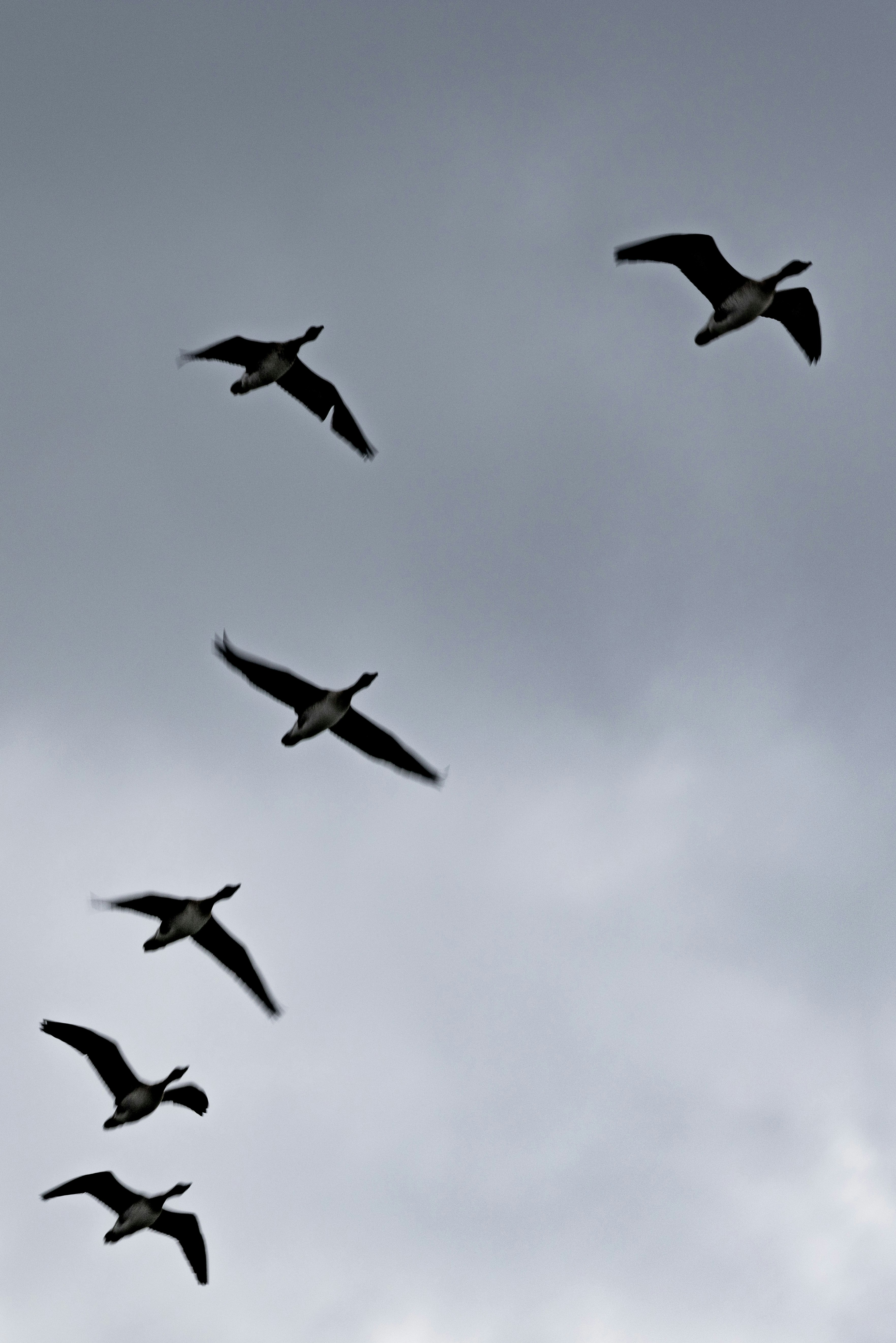 photo-1740230286922-240a47420016?ixid=M3wxMjA3fDB8MXxzZWFyY2h8NHx8JUVDJTg0JTlDJUVBJUI1JUFDJTIwJUVEJTlDJUI0JUVBJUIyJThDJUVEJTg1JTk0fGVufDB8fHx8MTc0MTA4OTE2M3ww\u0026ixlib=rb-4.0.3