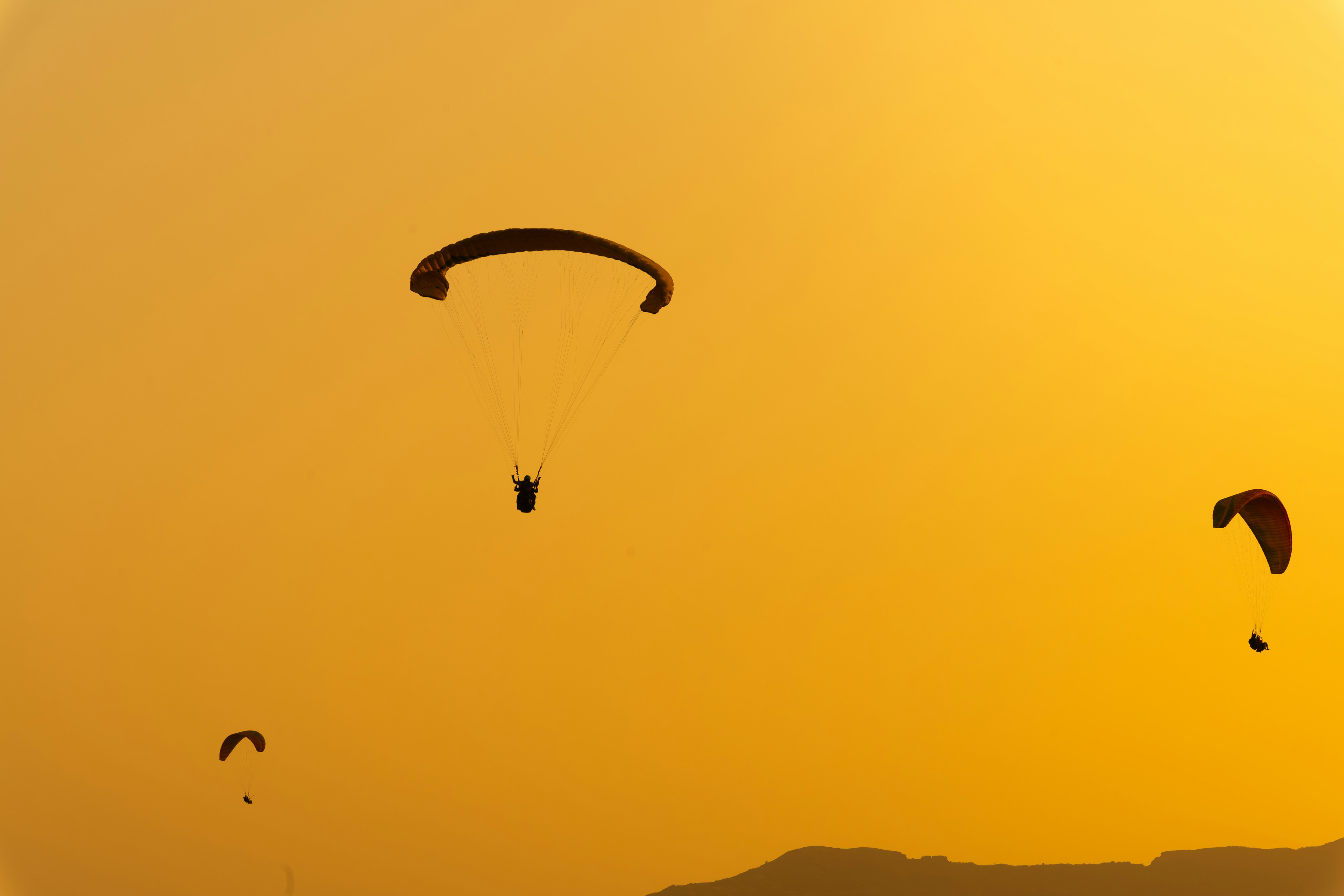 A group of people flying kites in the sky