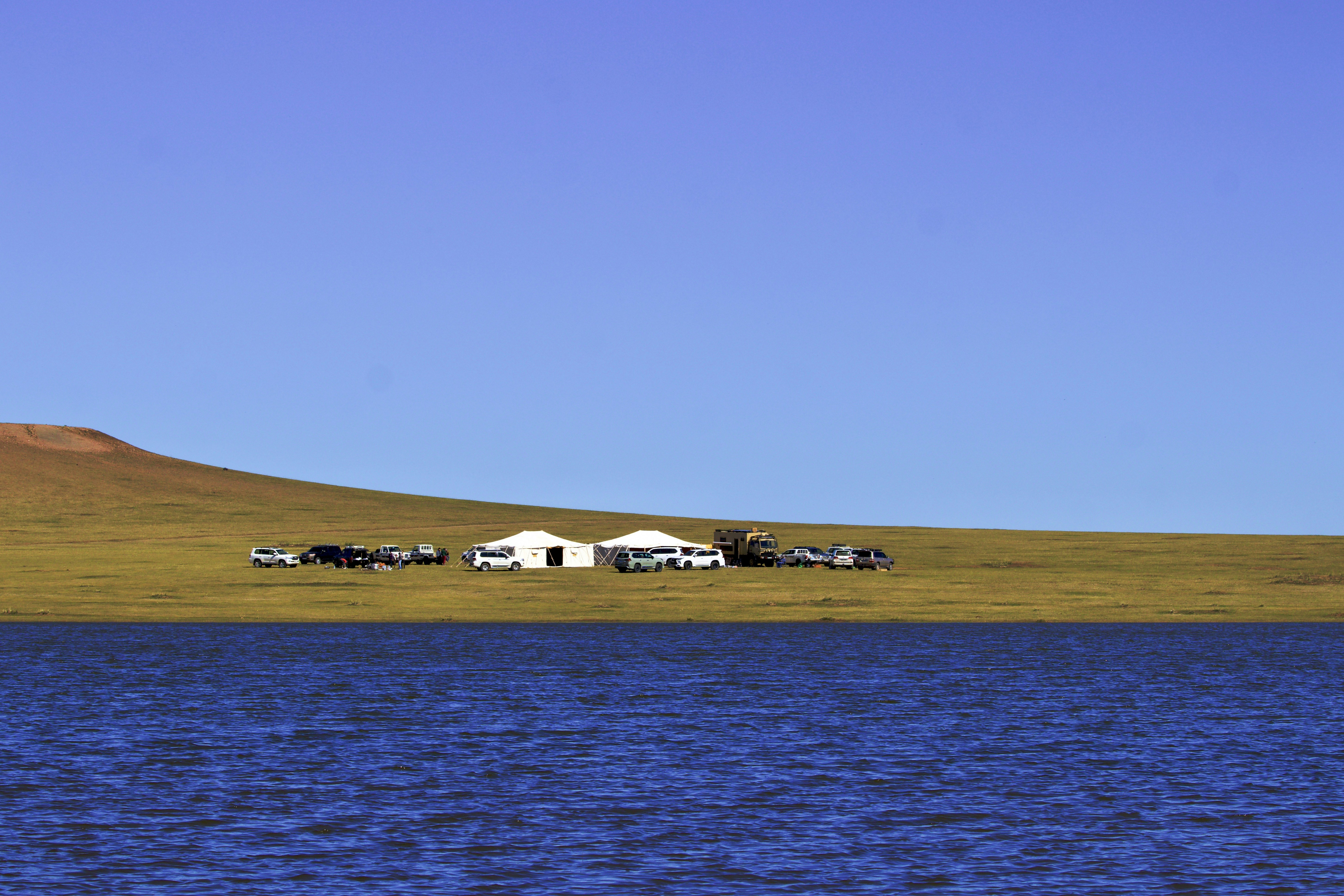 A herd of cattle grazing on a lush green hillside next to a lake