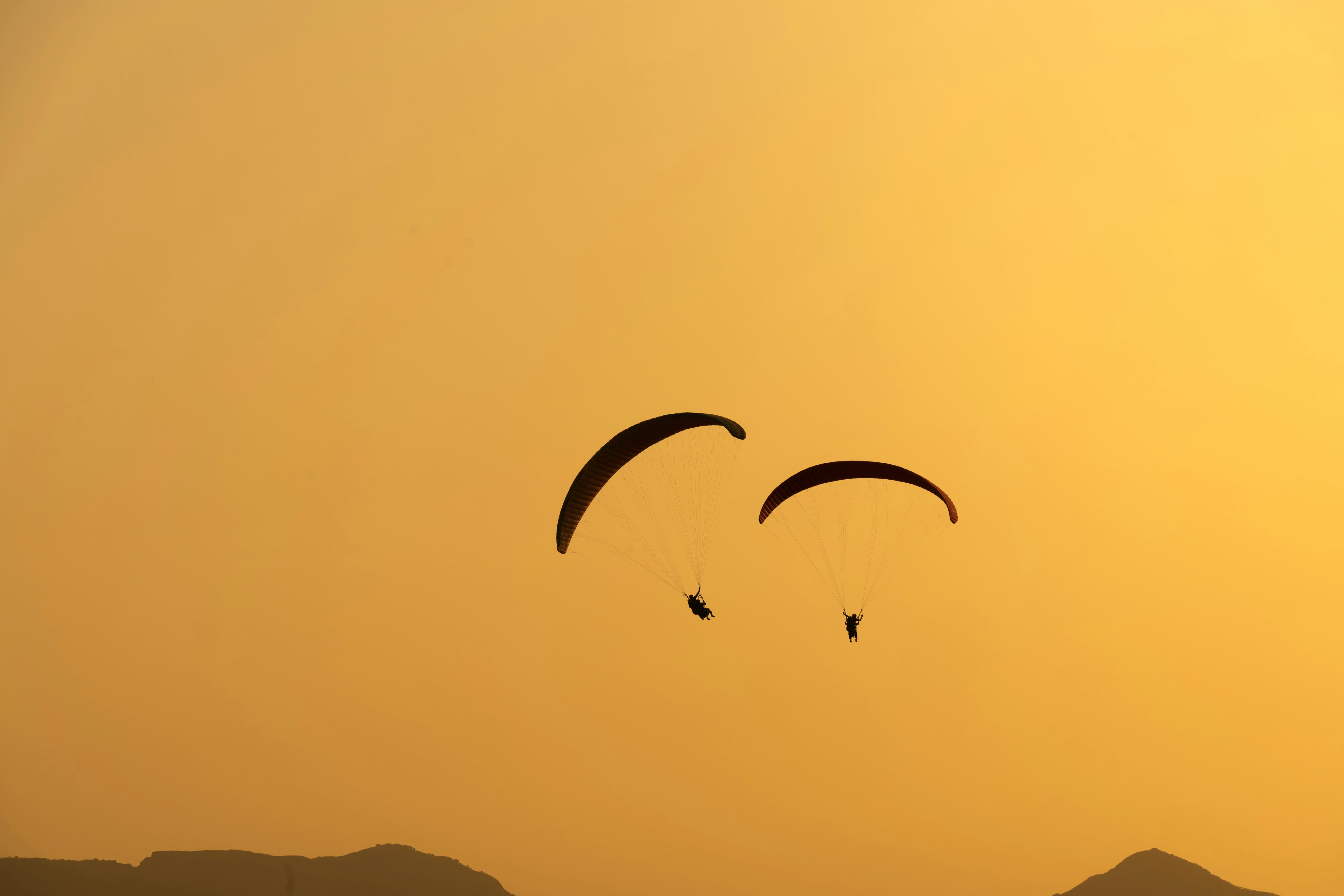 A couple of kites are flying in the sky