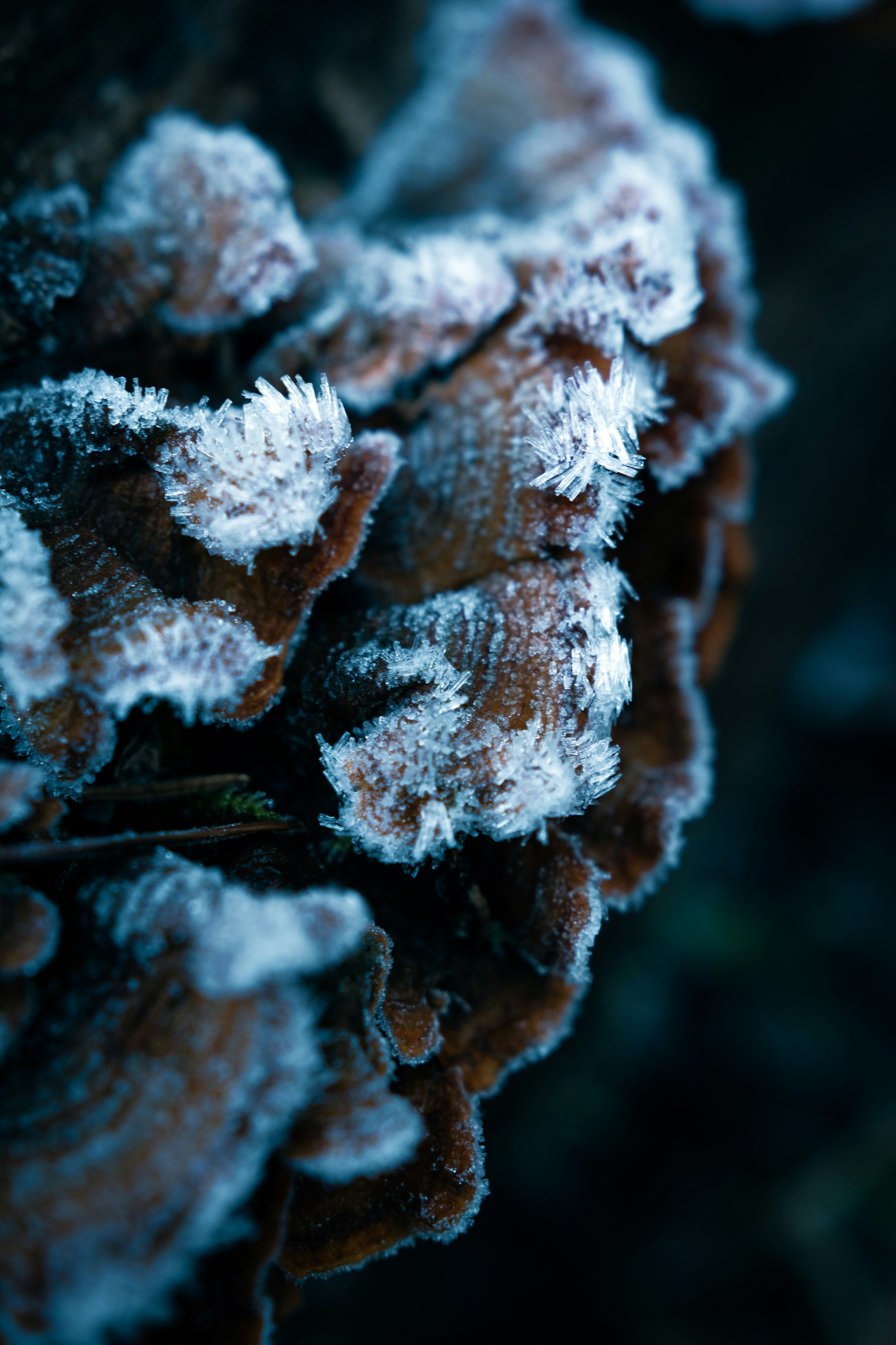 Photo by jonah_loeffler