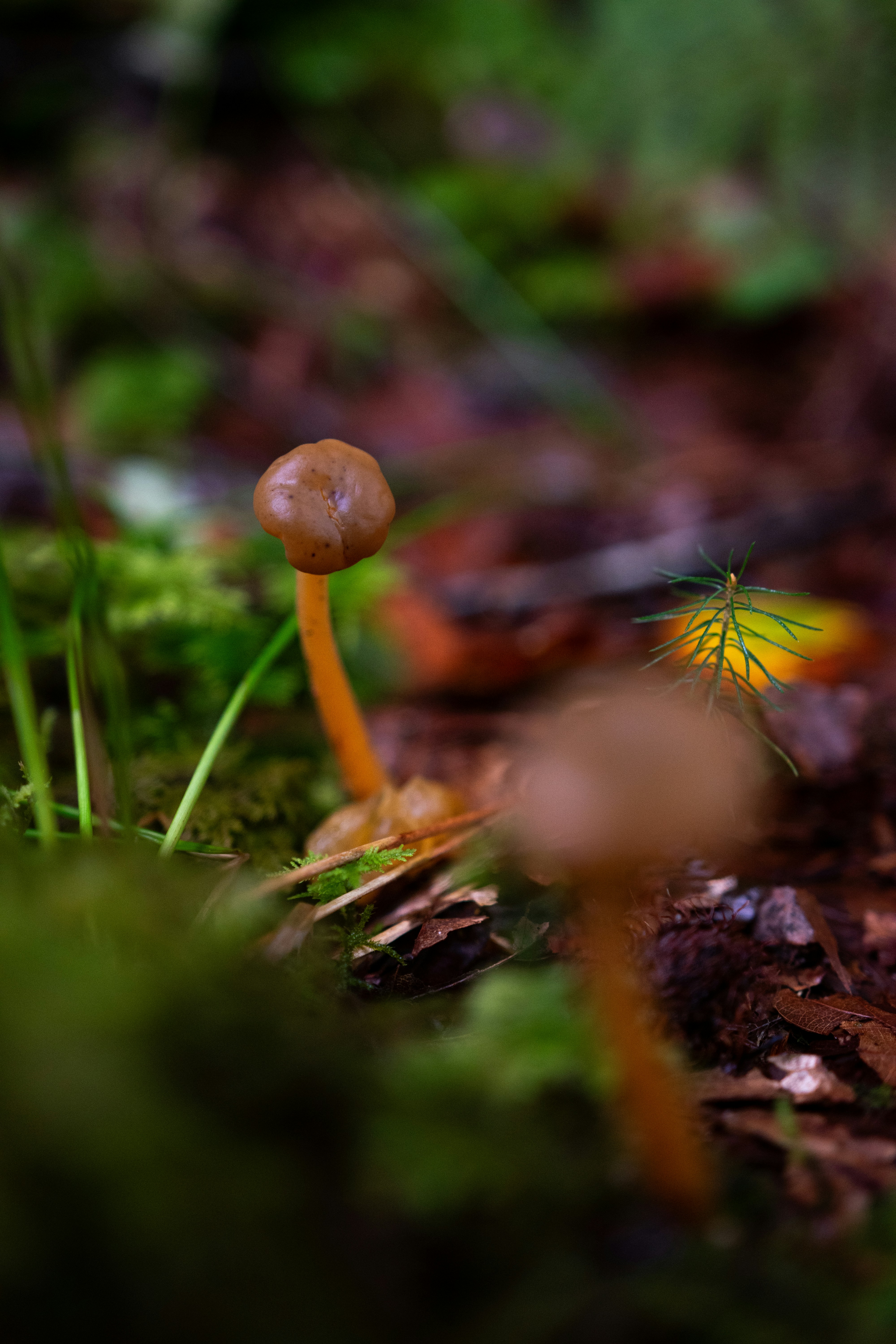 Photo by jonah_loeffler