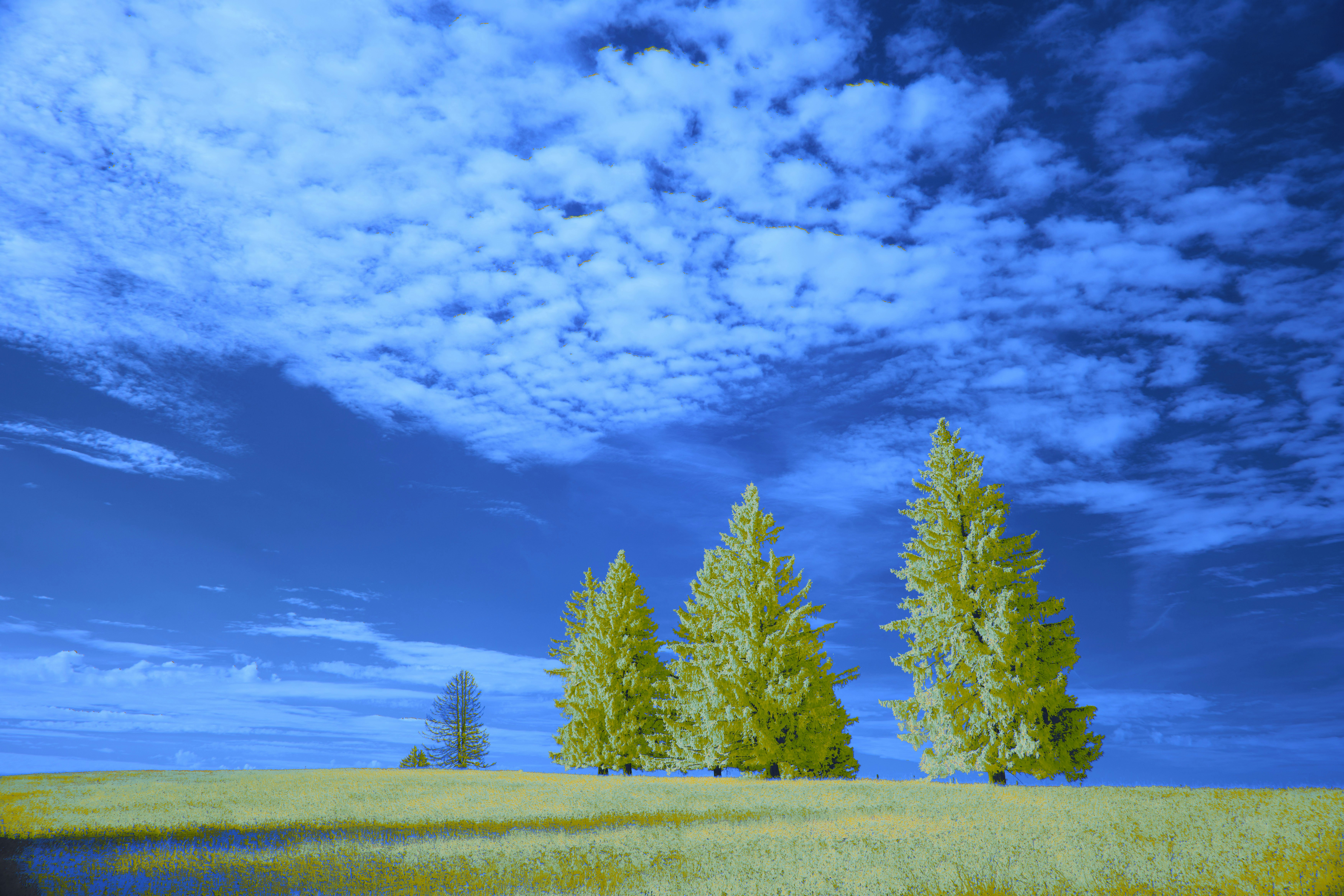 Photo by wolfgang_hasselmann