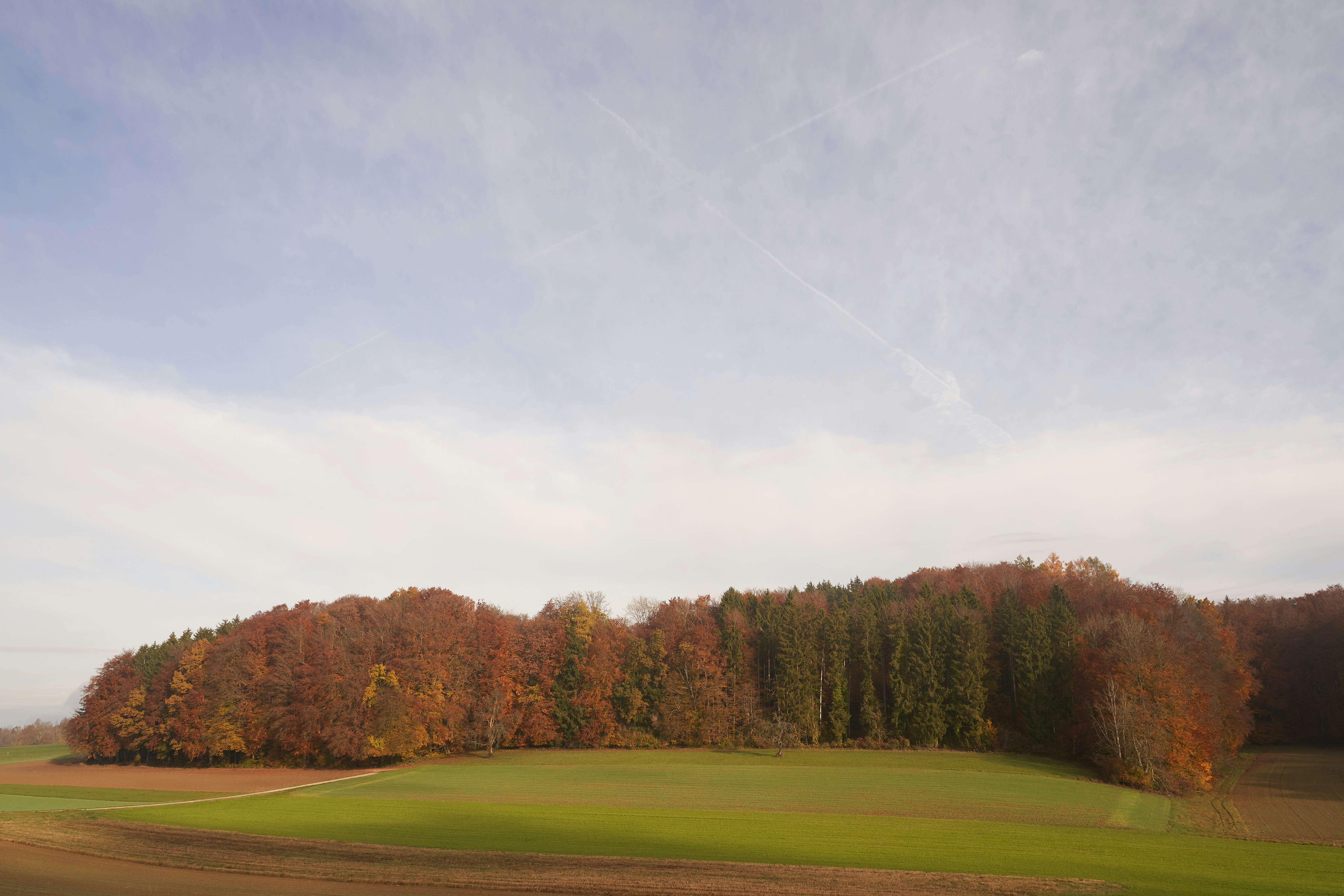 Photo by wolfgang_hasselmann