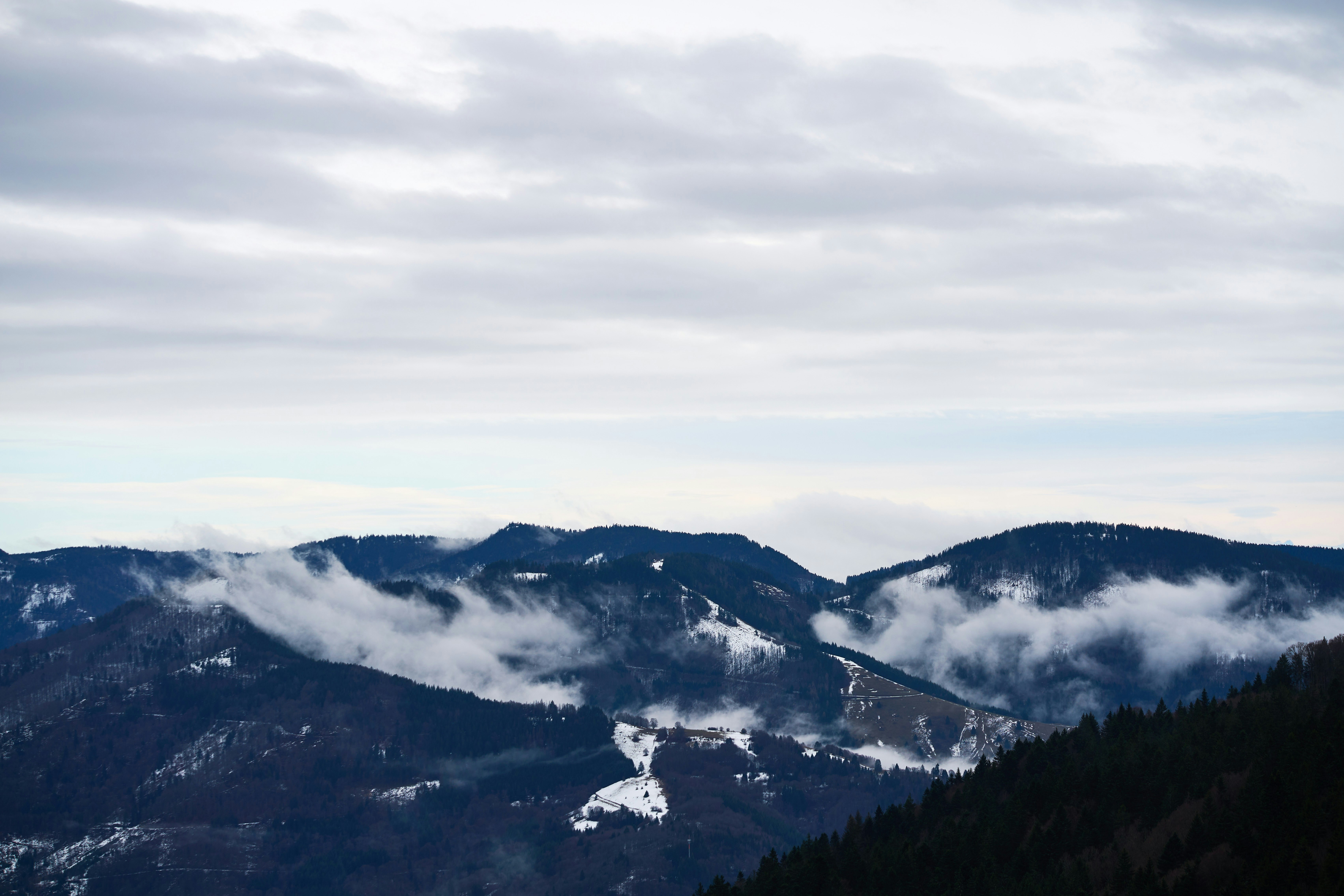 Photo by wolfgang_hasselmann