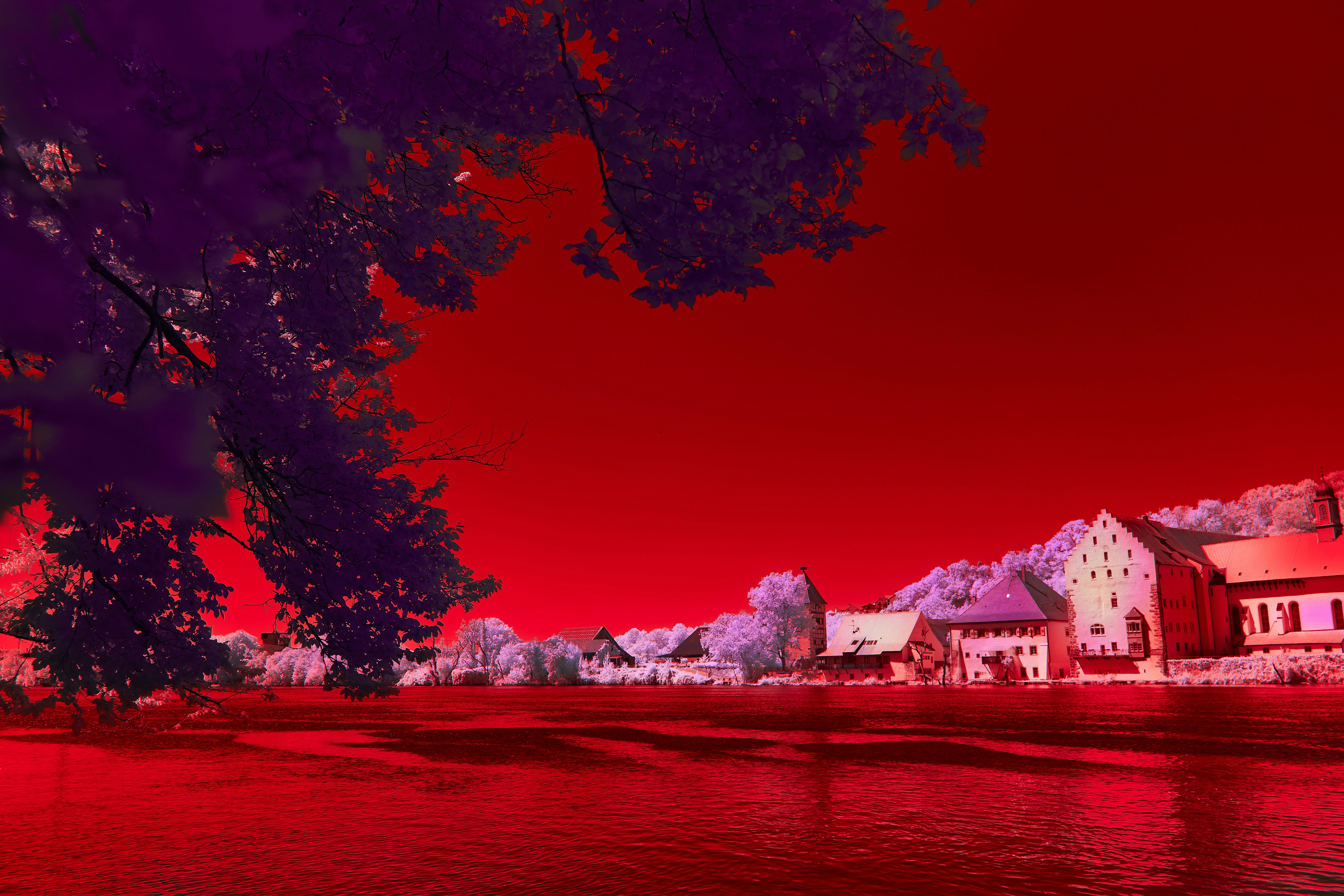 Vampire LARP Paradise