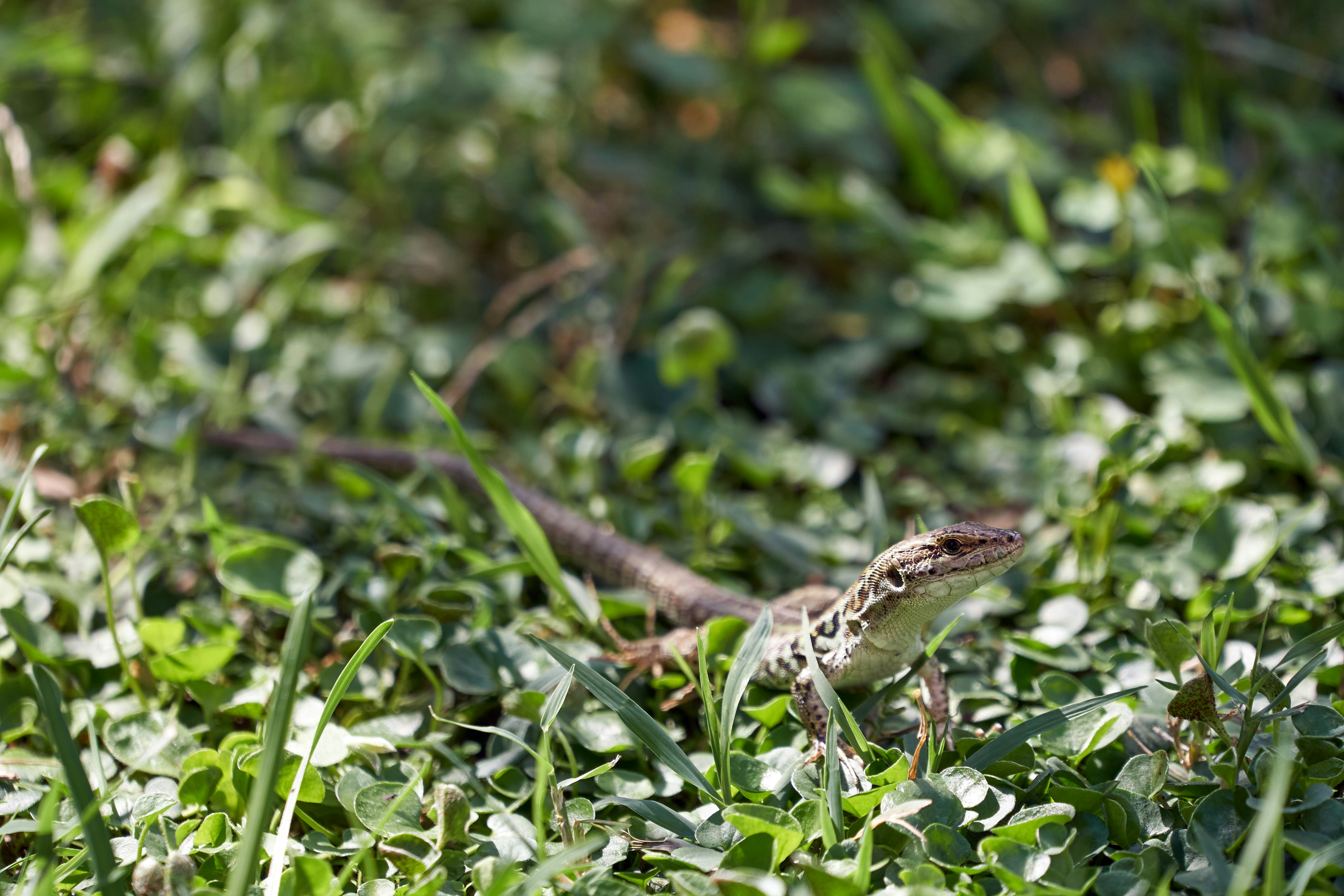 Photo by wolfgang_hasselmann