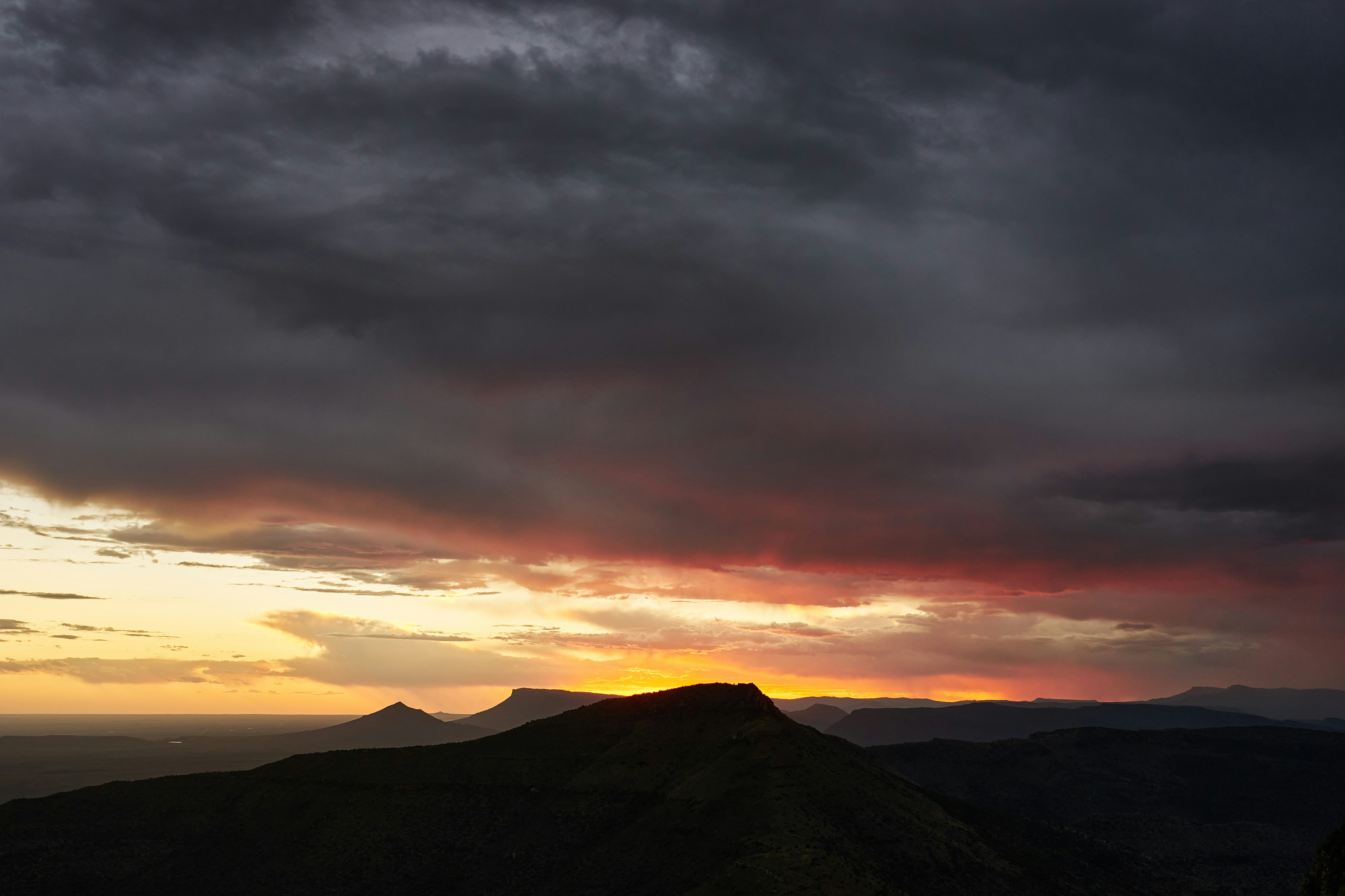 Photo by wolfgang_hasselmann