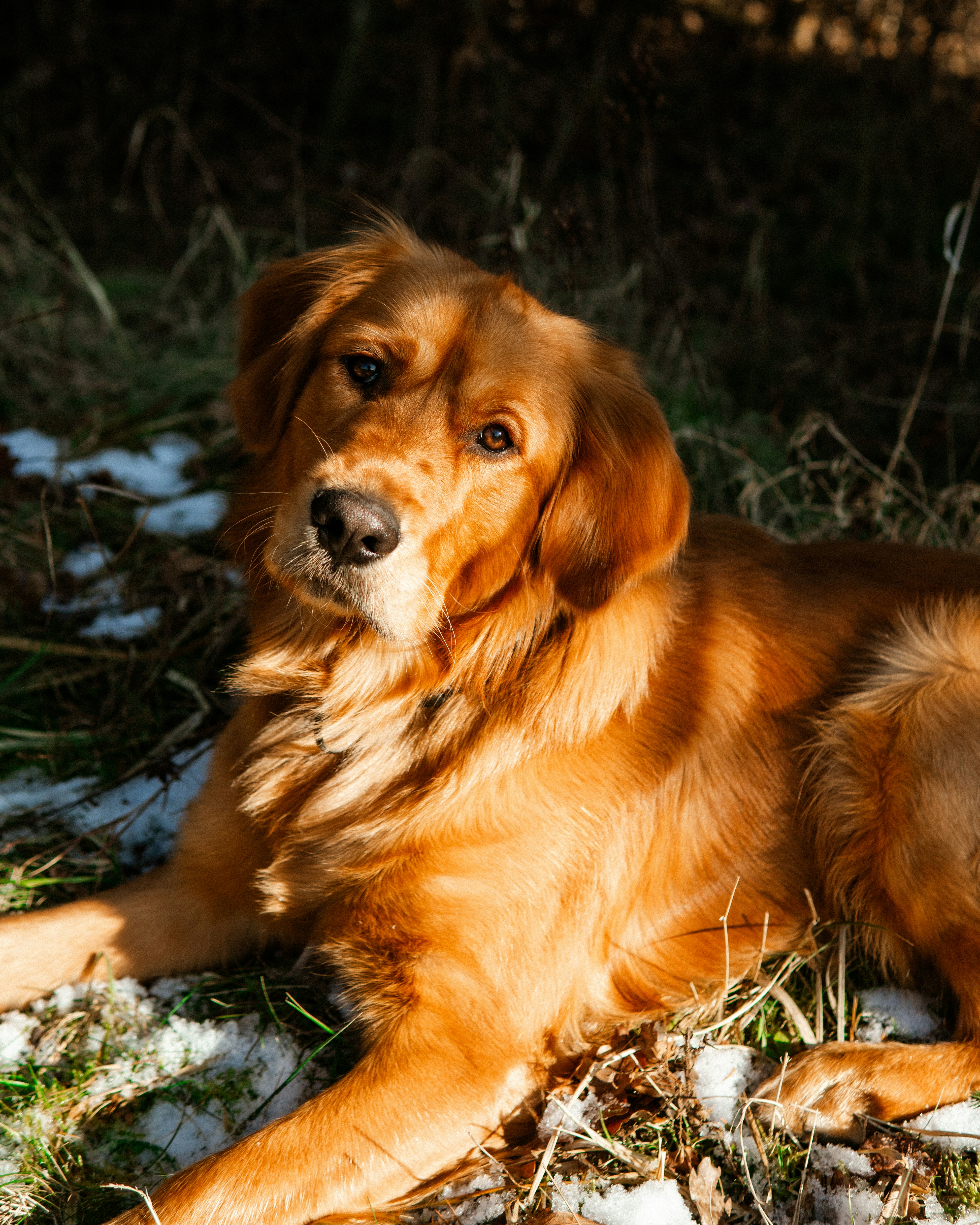 Photo by tomjancarik