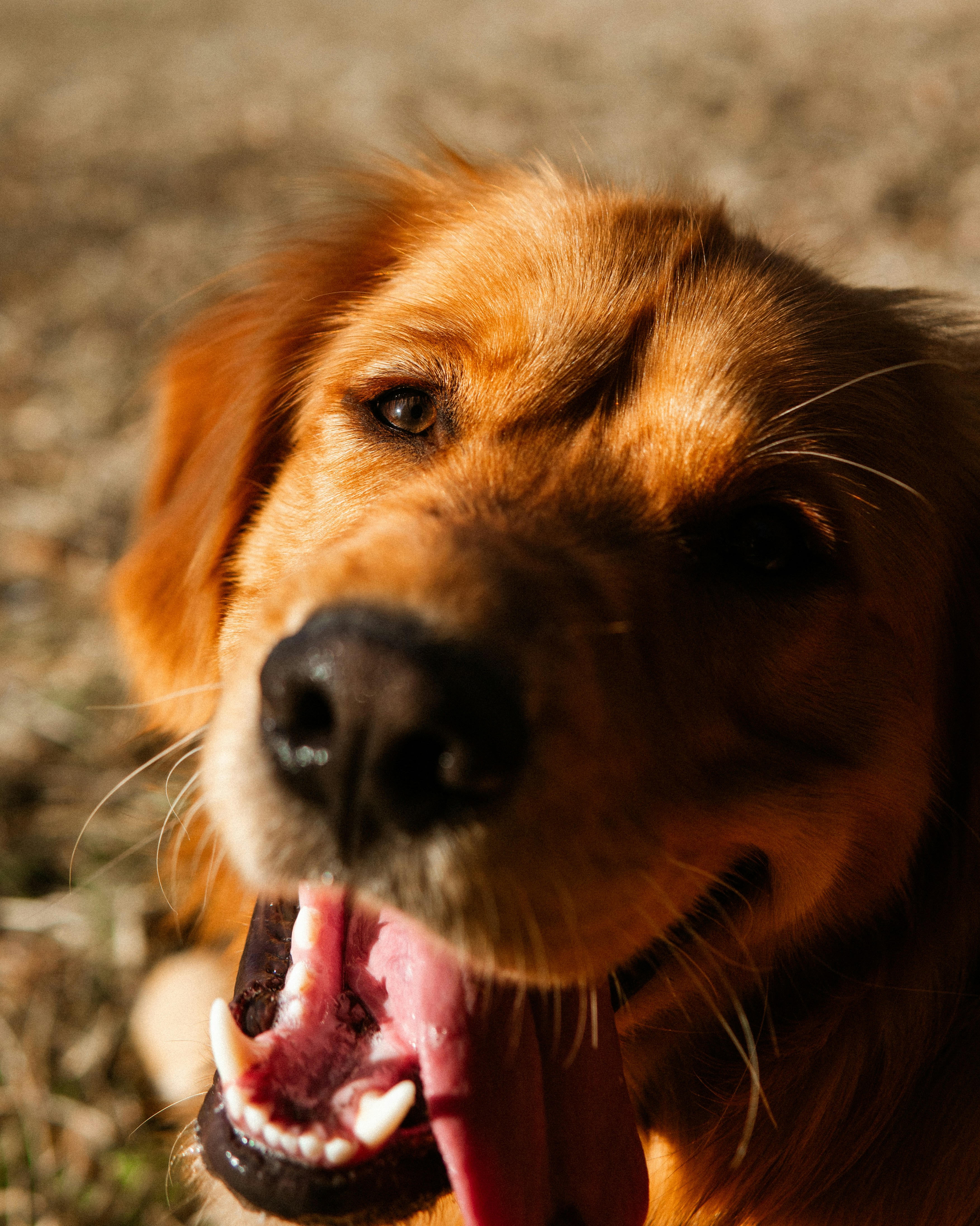 Photo by tomjancarik