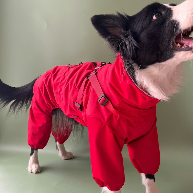 Casaca impermeable con capucha talla M