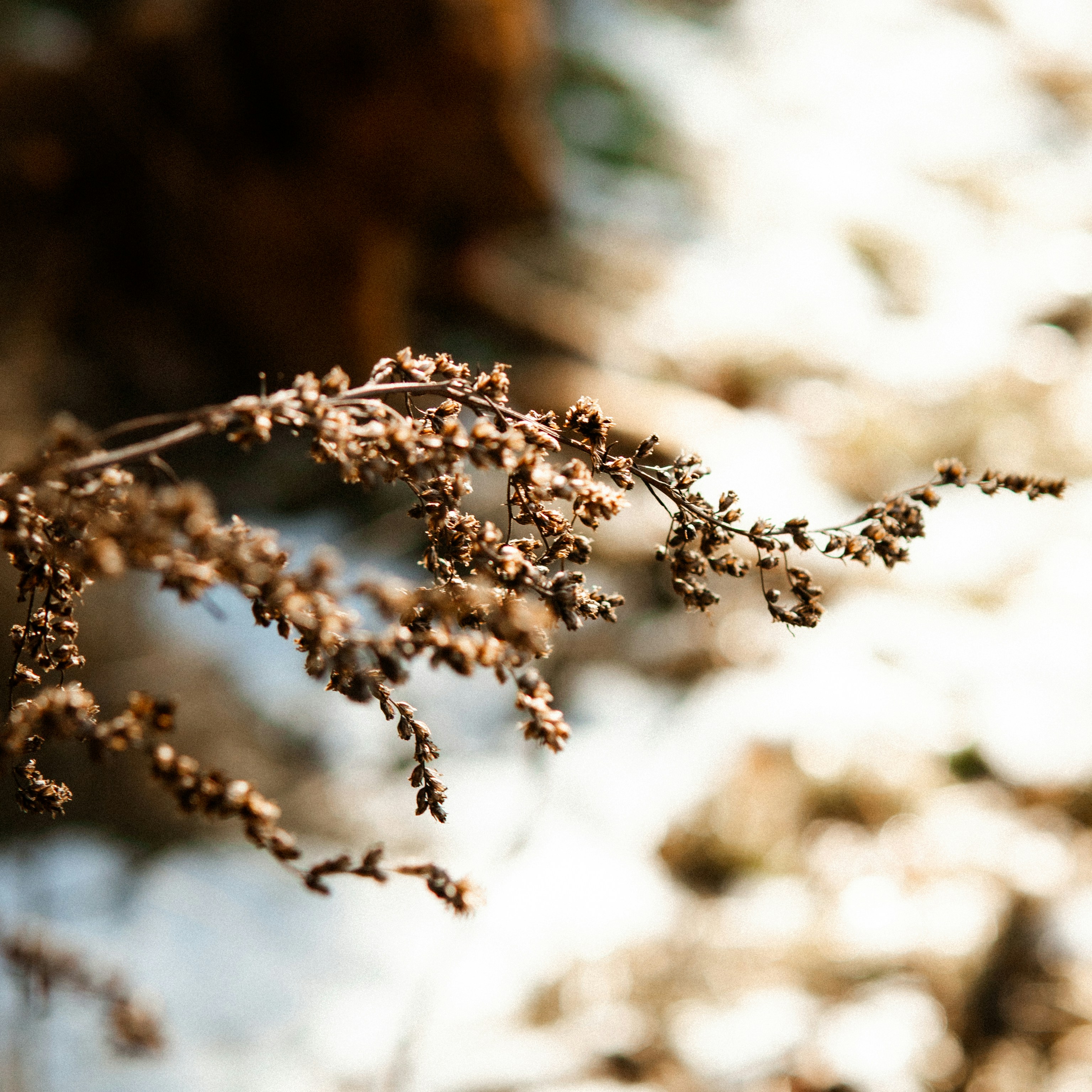 Photo by tomjancarik