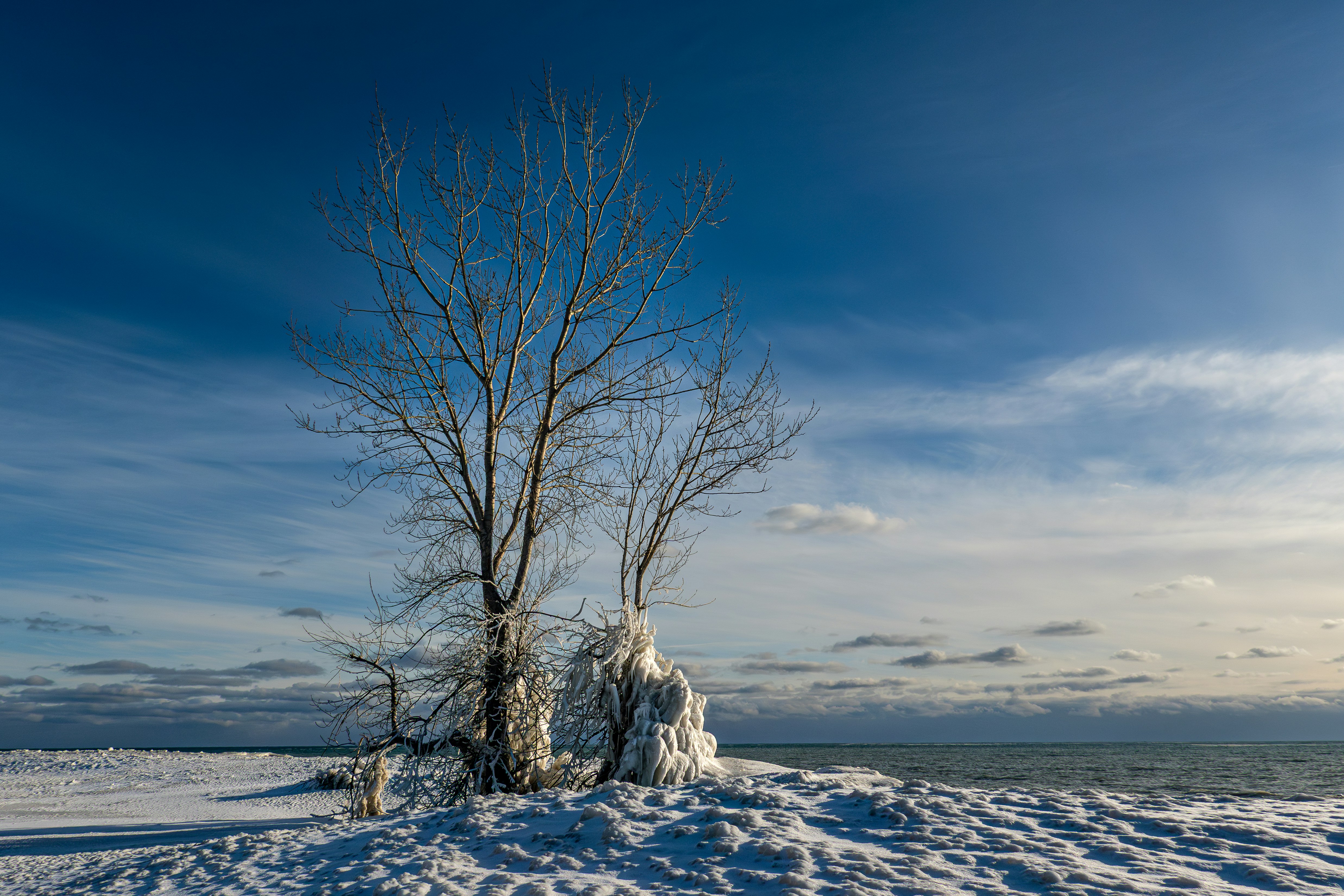 Photo by chris_robert