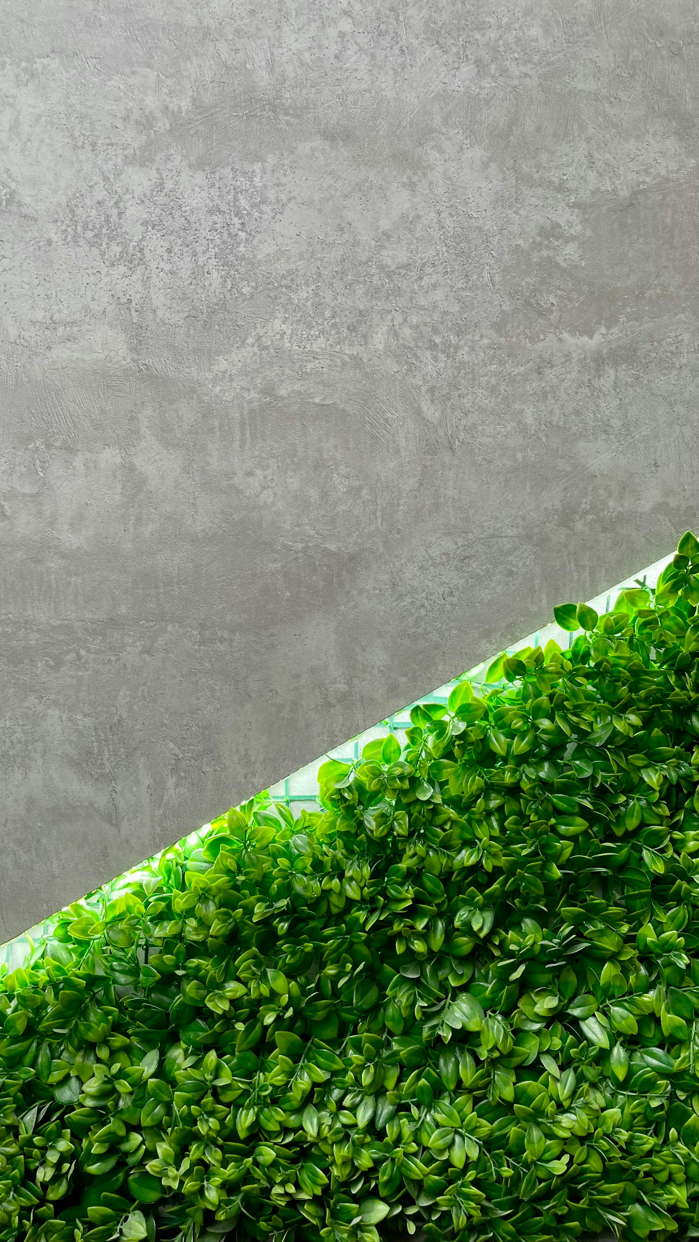 Photo by tashakostyuk