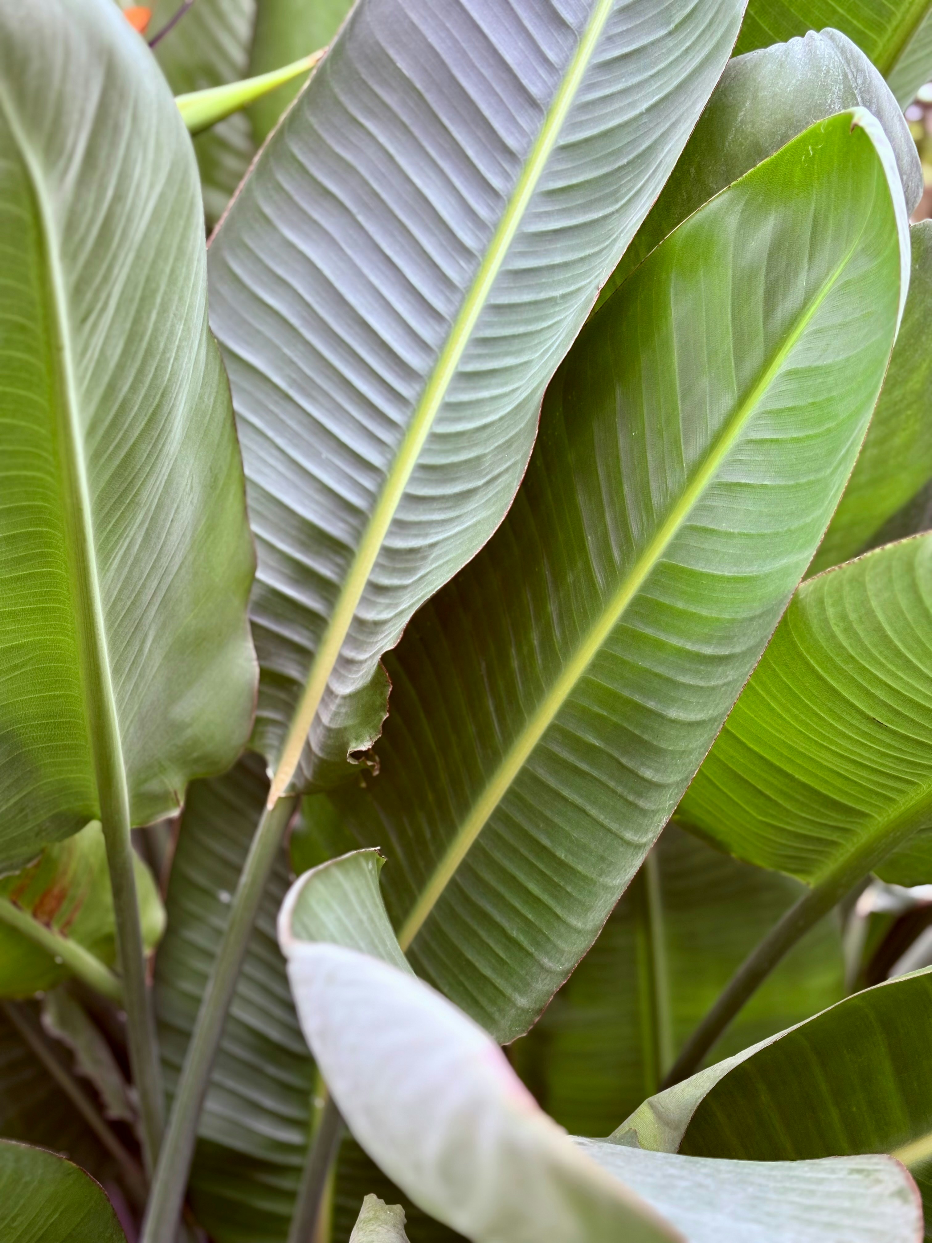 Photo by tashakostyuk