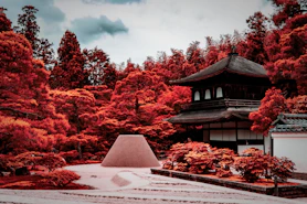 A japanese garden with a pagoda in the background