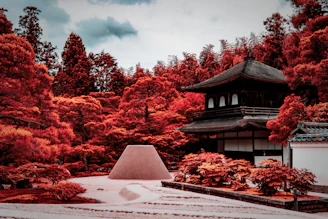 A japanese garden with a pagoda in the background