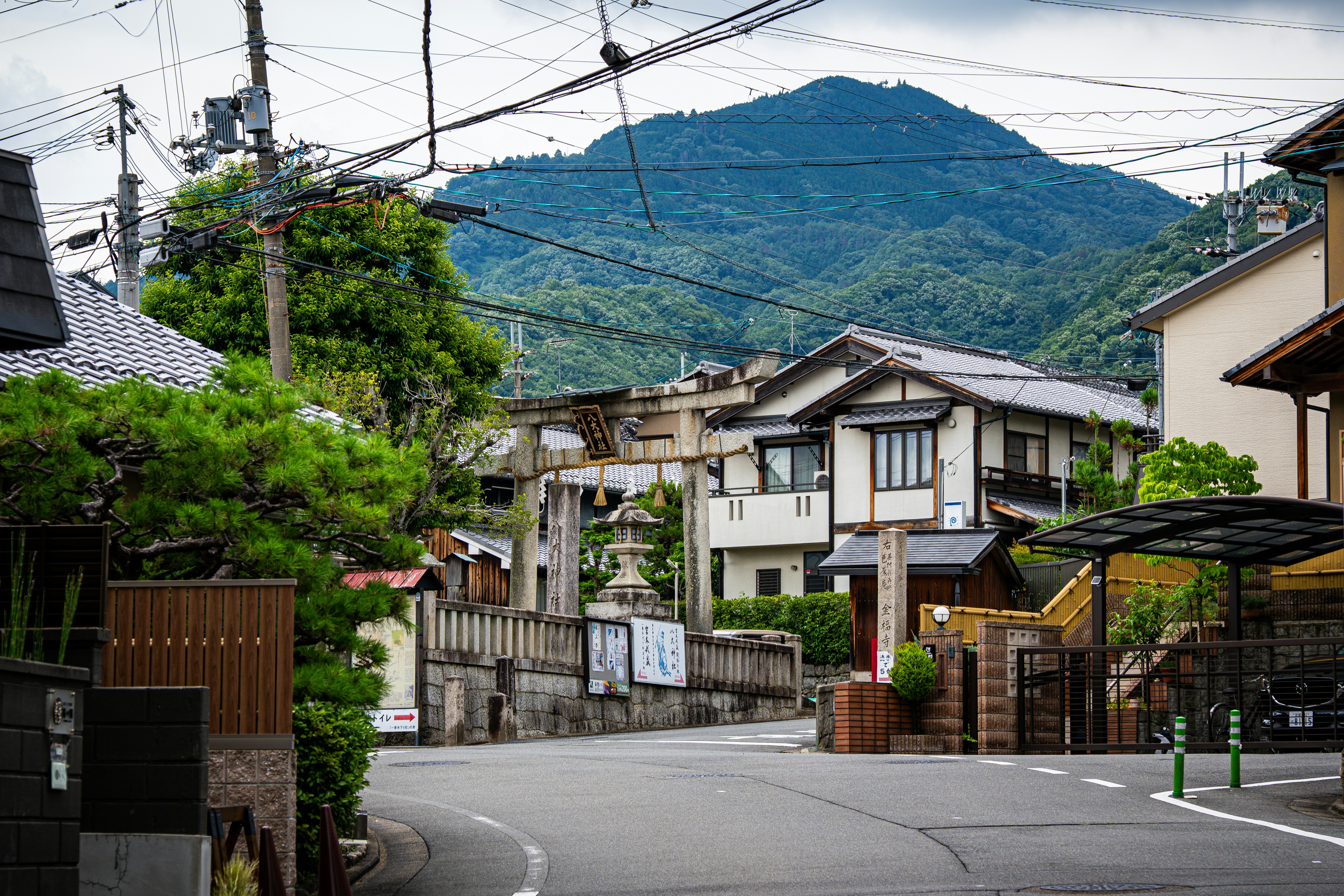 Photo by samtakespictures