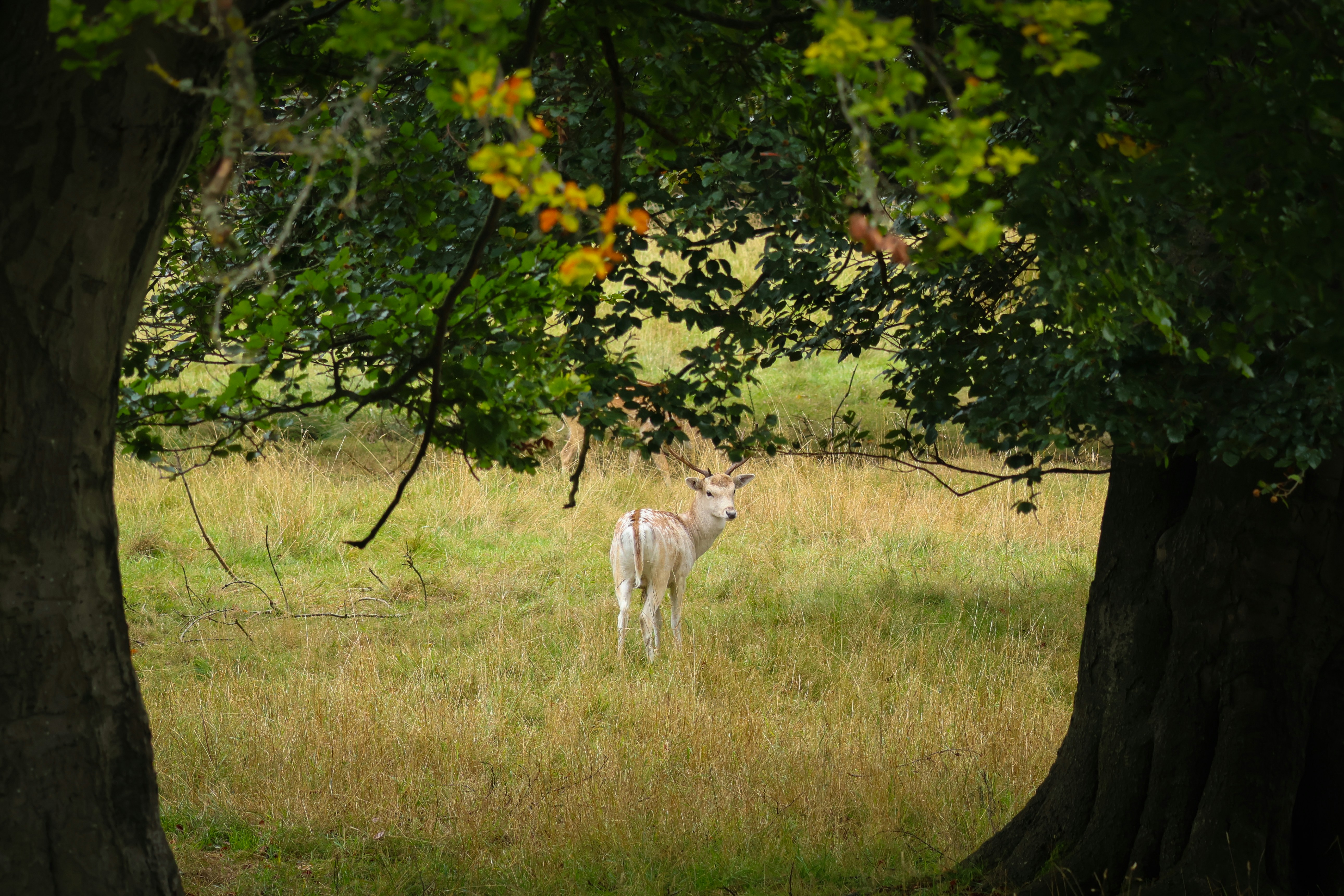 Photo by lucyamelia1