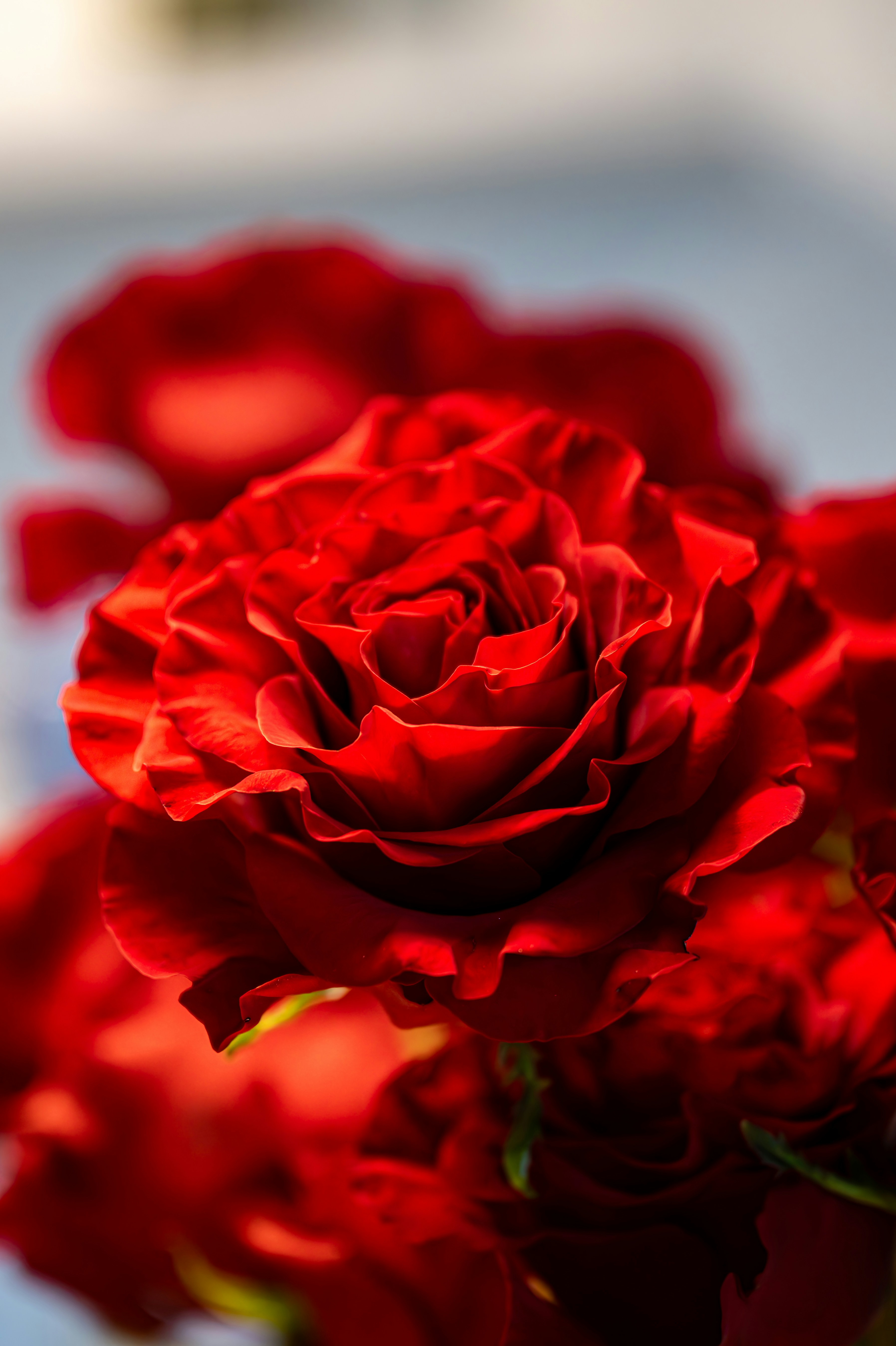 Photo by mycoolmedia