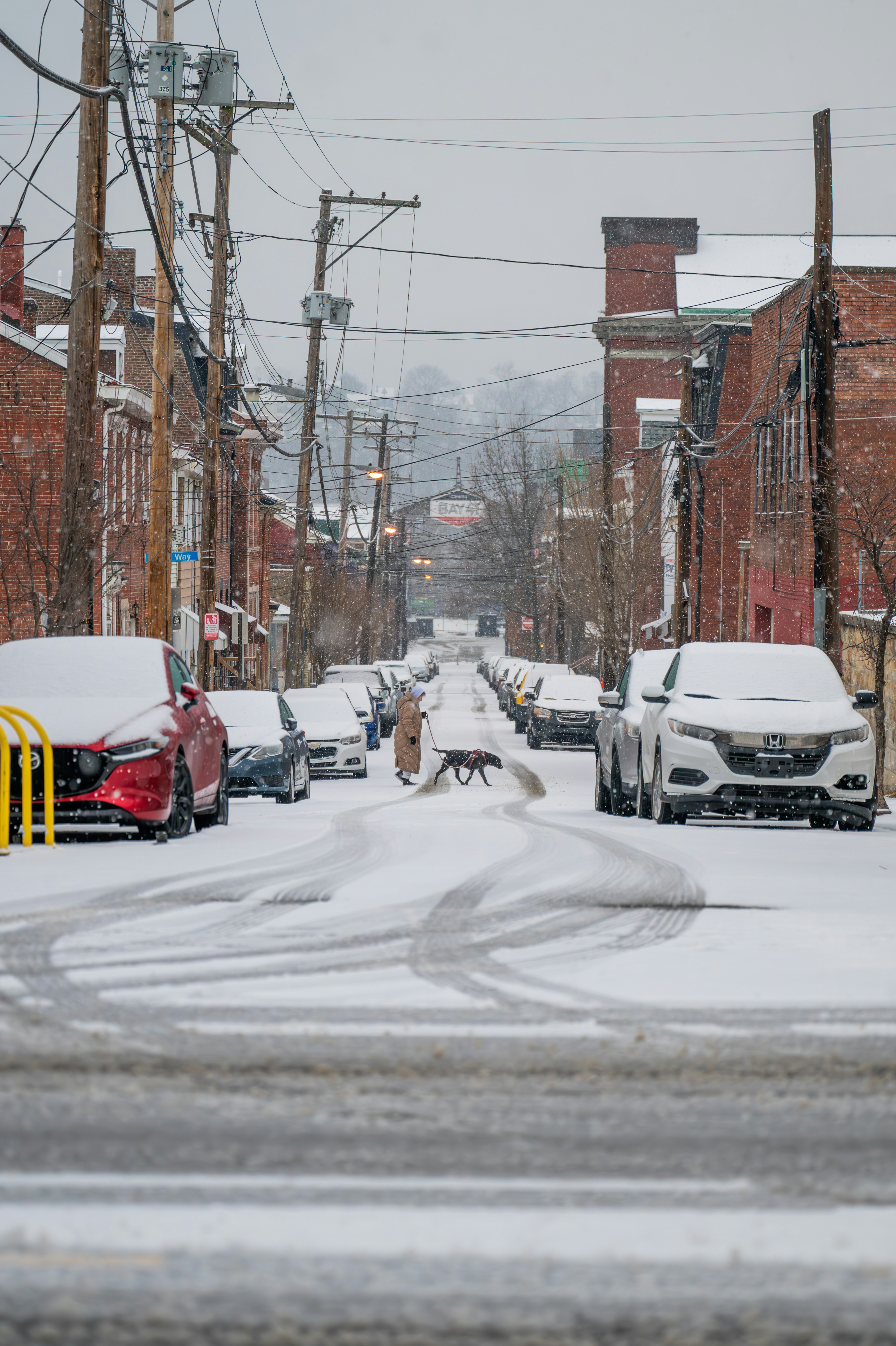 Photo by mycoolmedia