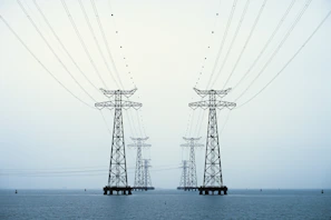 A couple of power poles sitting in the middle of a body of water