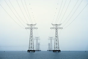 A couple of power poles sitting in the middle of a body of water