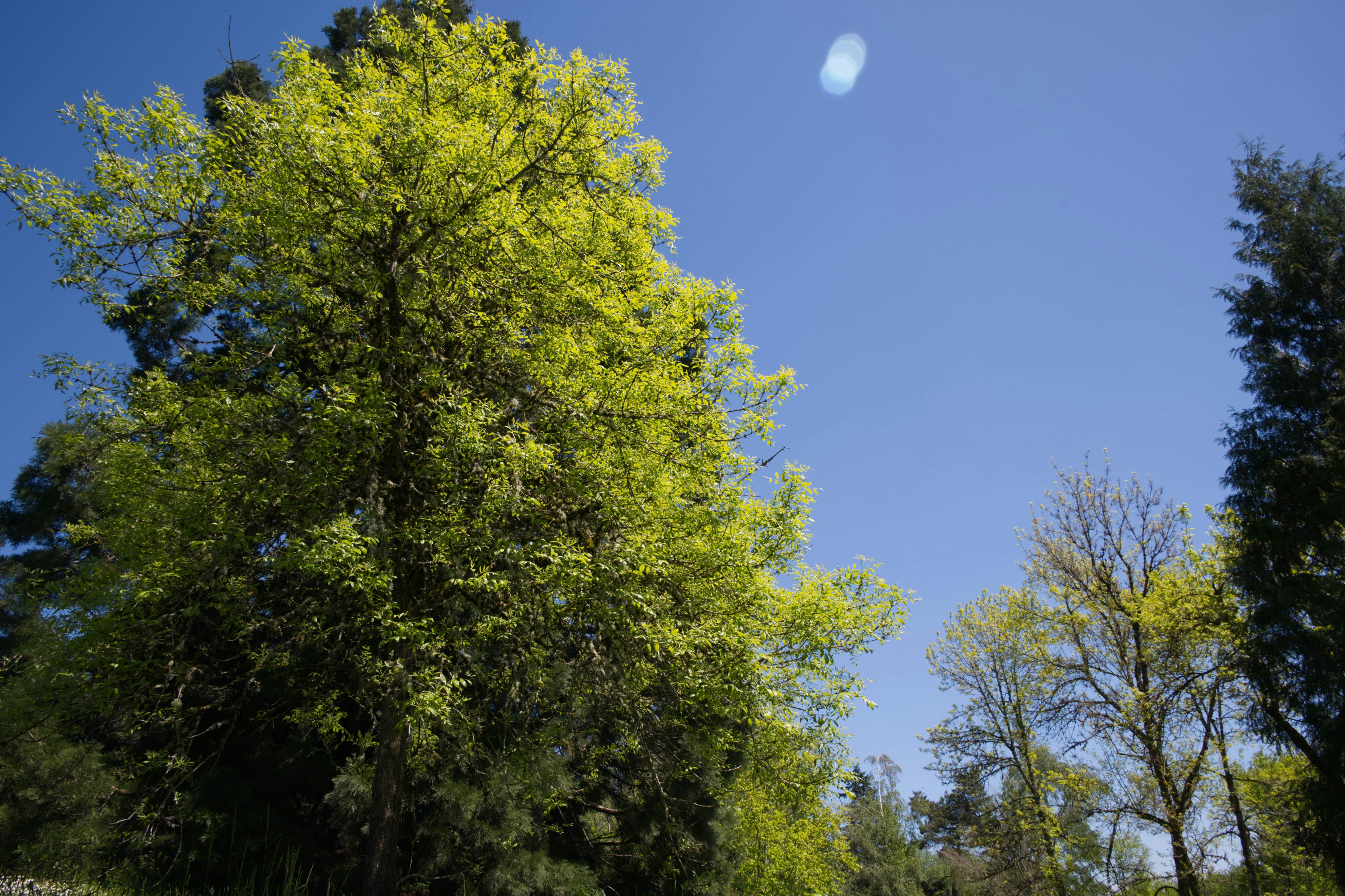 A person riding a skateboard down a street