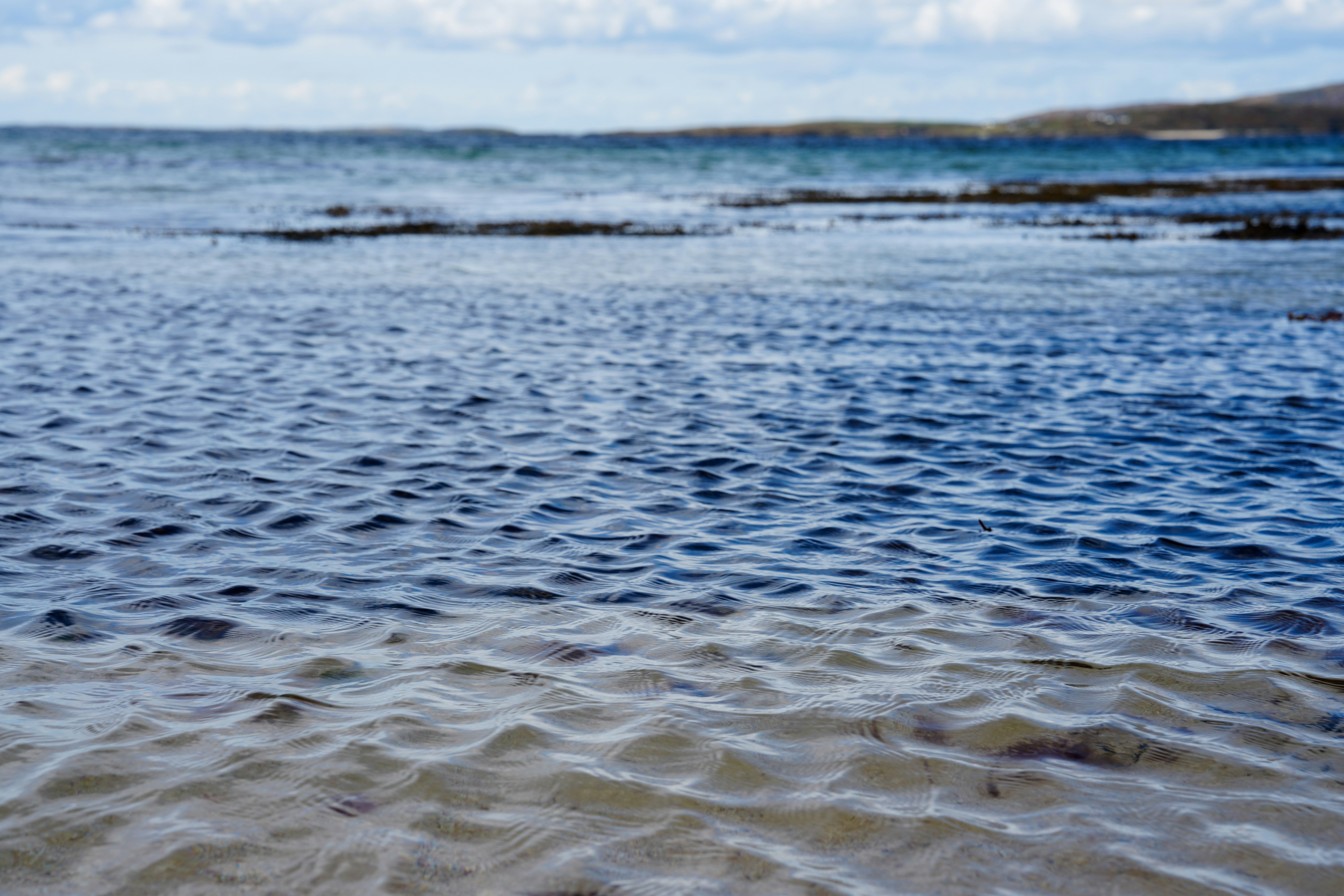 Photo by emilybensonconsulting