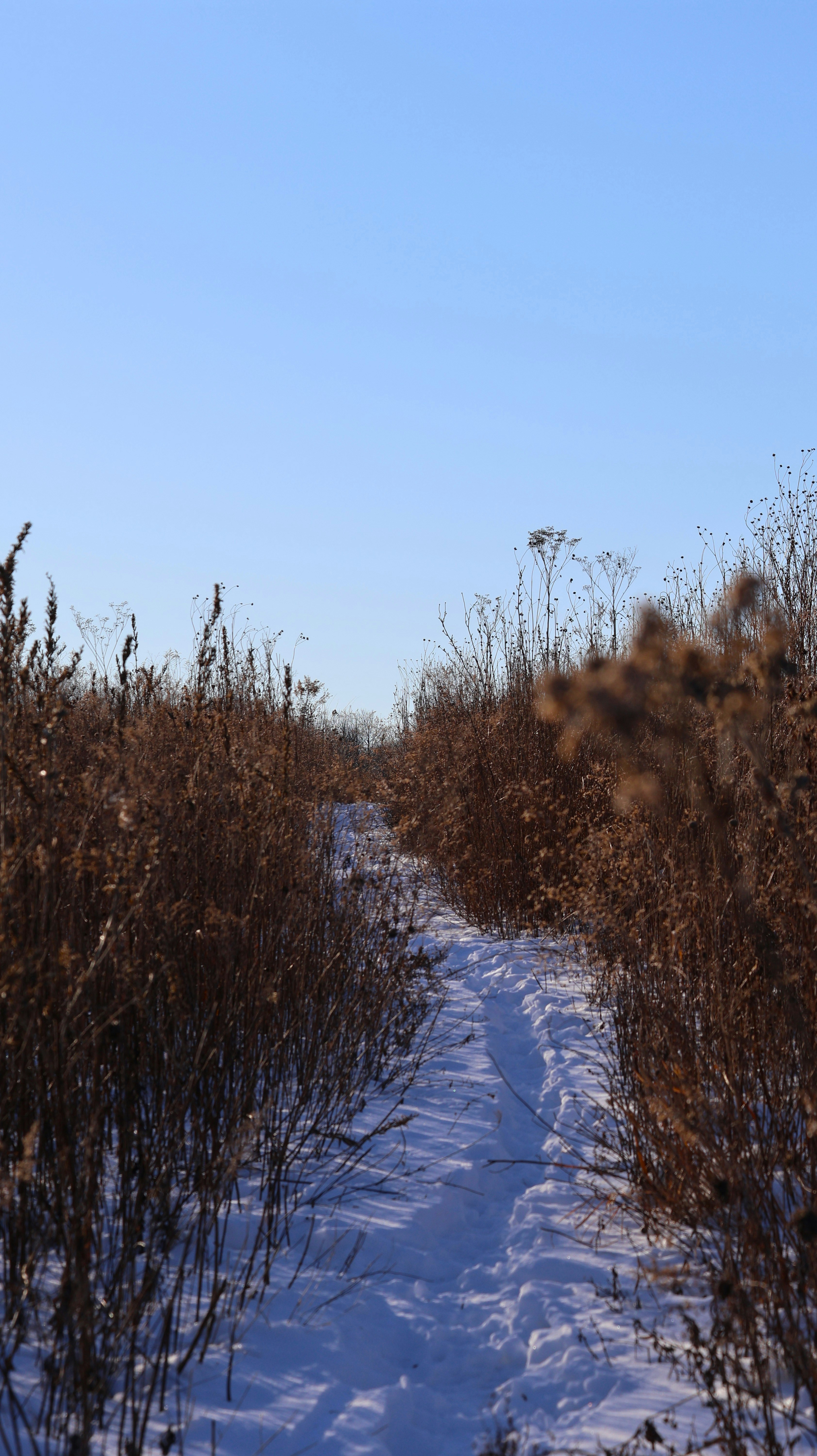 Photo by kalyan_ram_mantrala