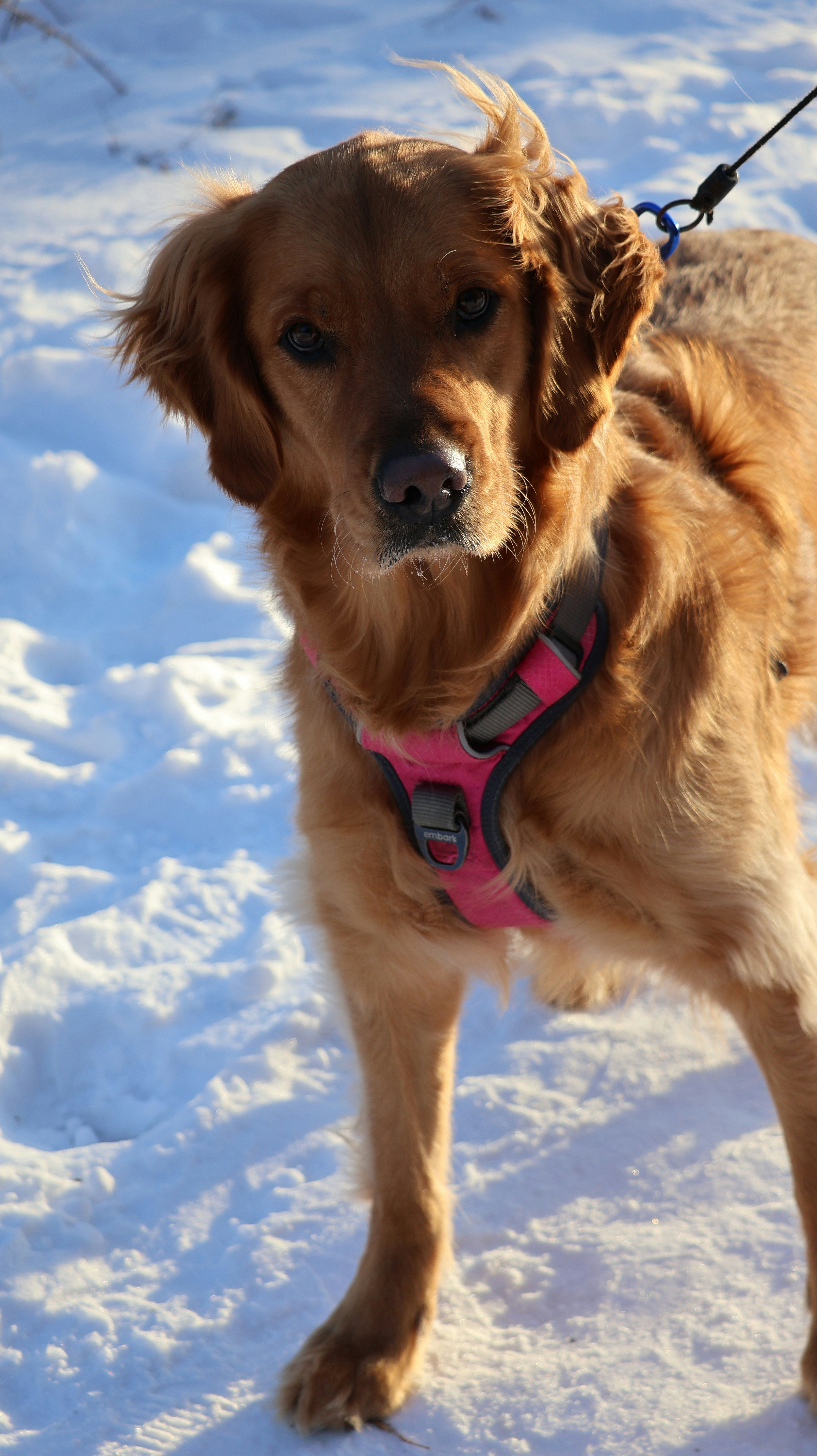 Photo by kalyan_ram_mantrala