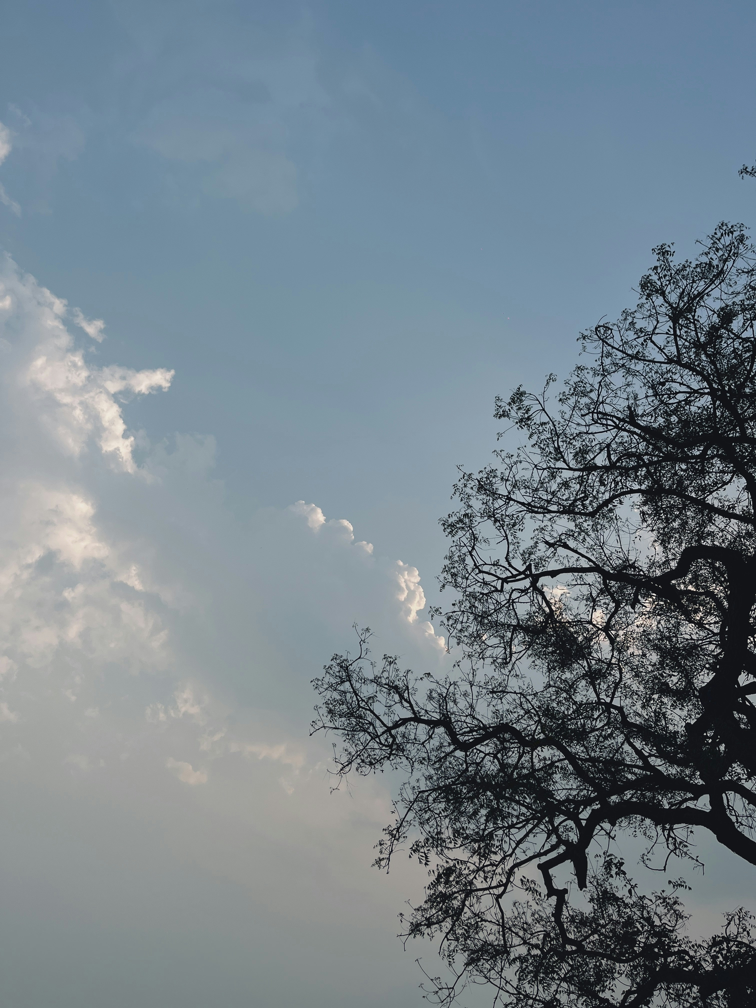 Photo by alwaysasish