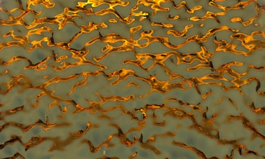 A blurry image of leaves on the ground