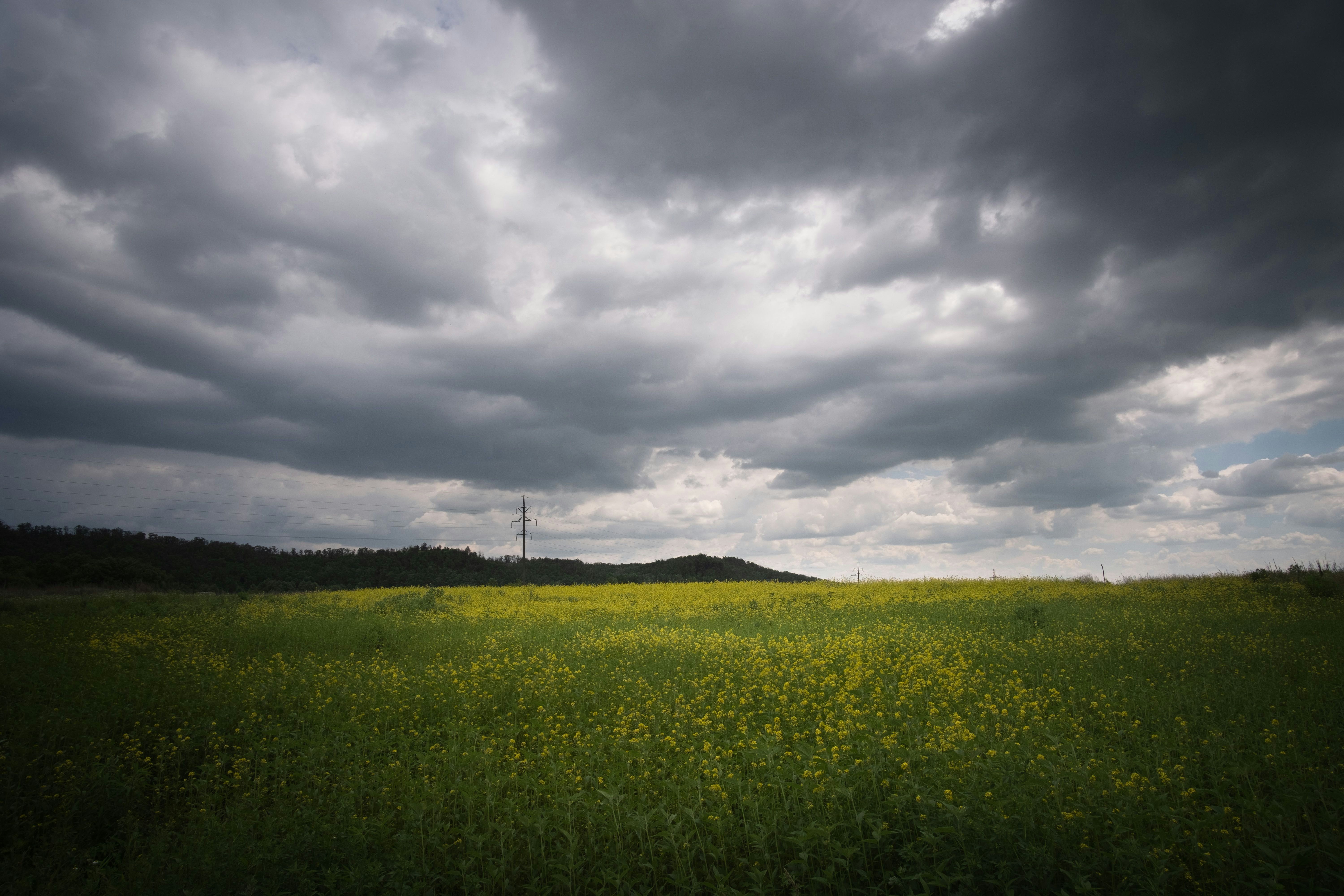 Photo by sevencolors