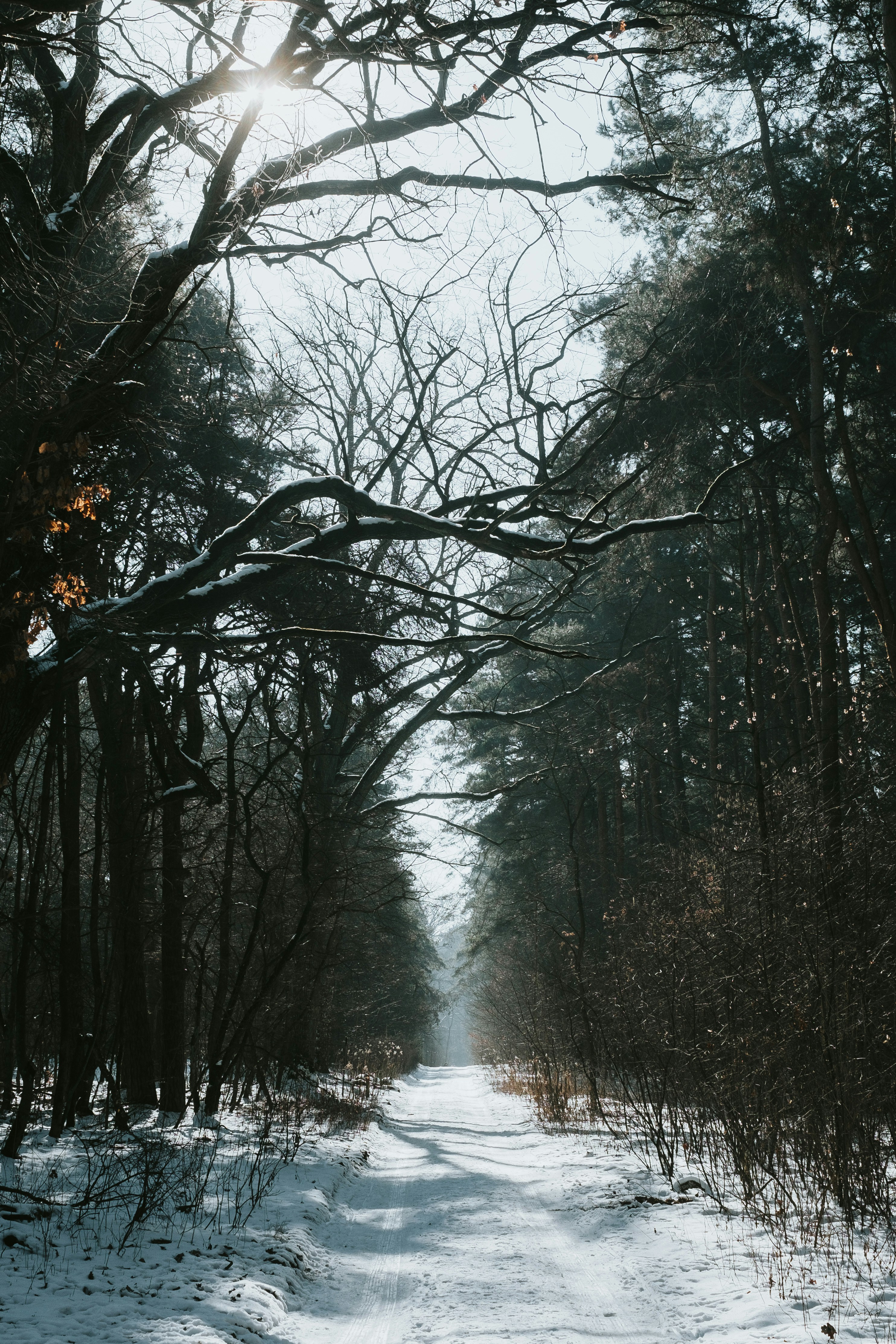 Photo by victor_vector