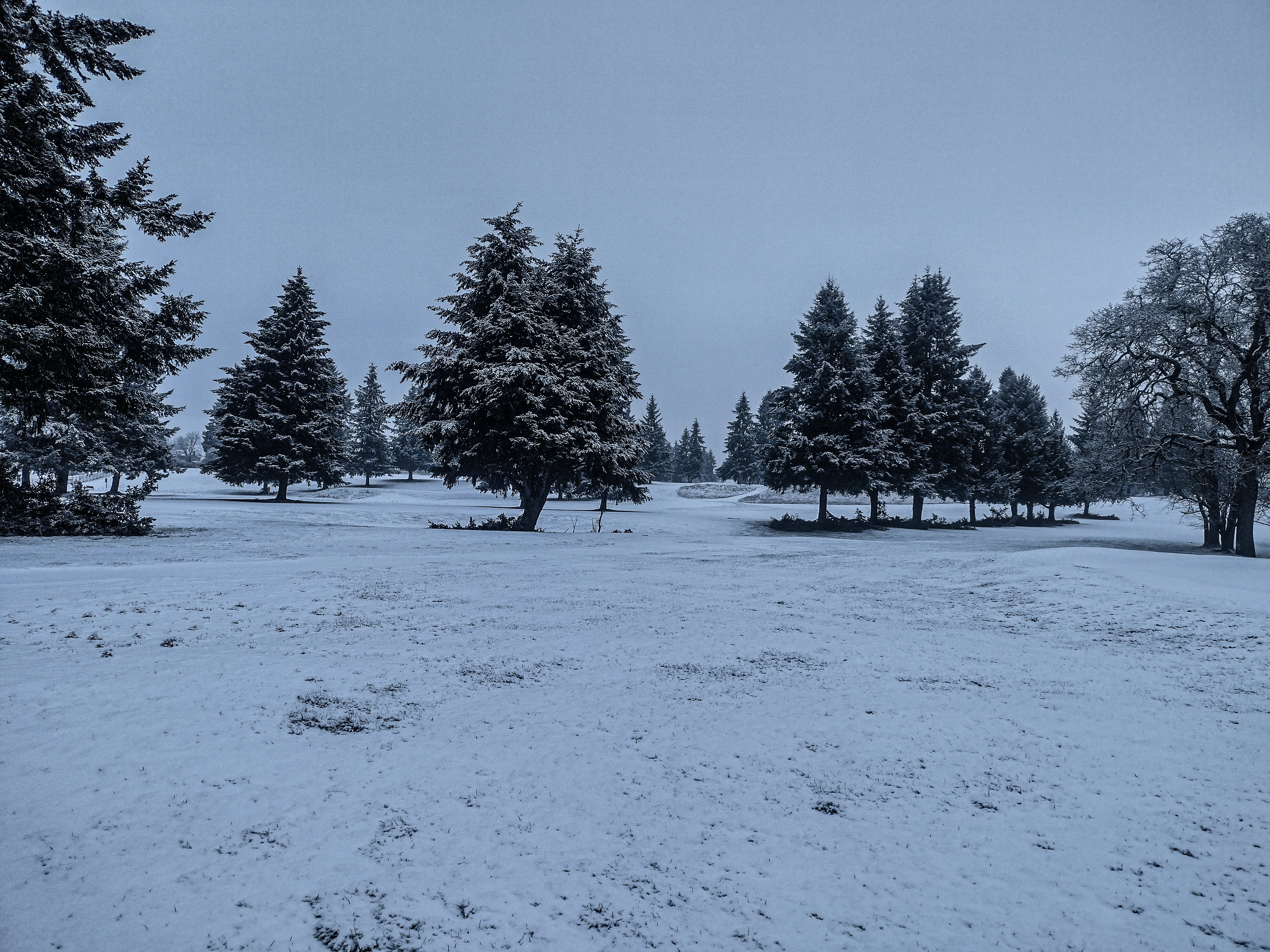 A snow covered field with trees in the background