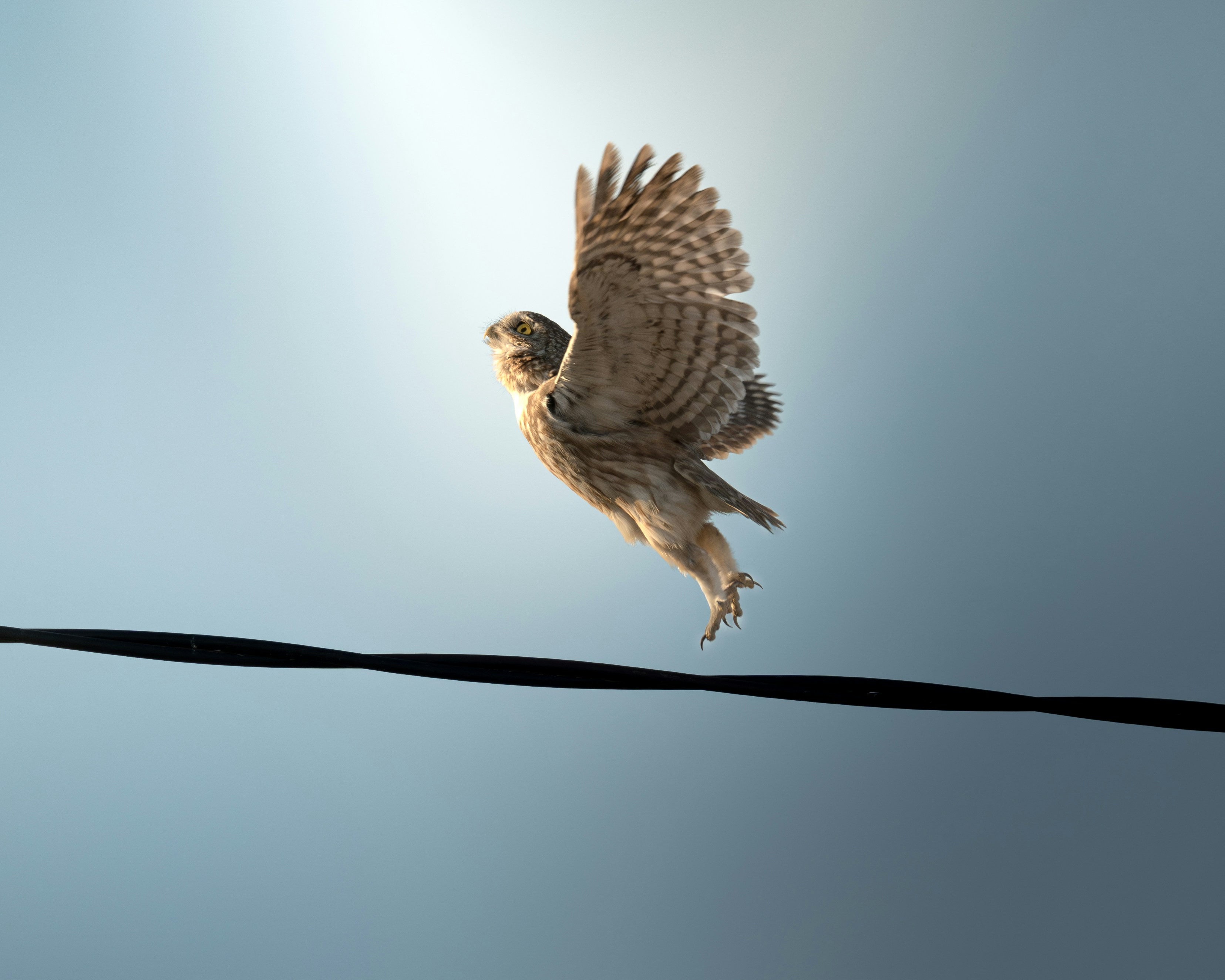 Photo by photographer_ayham