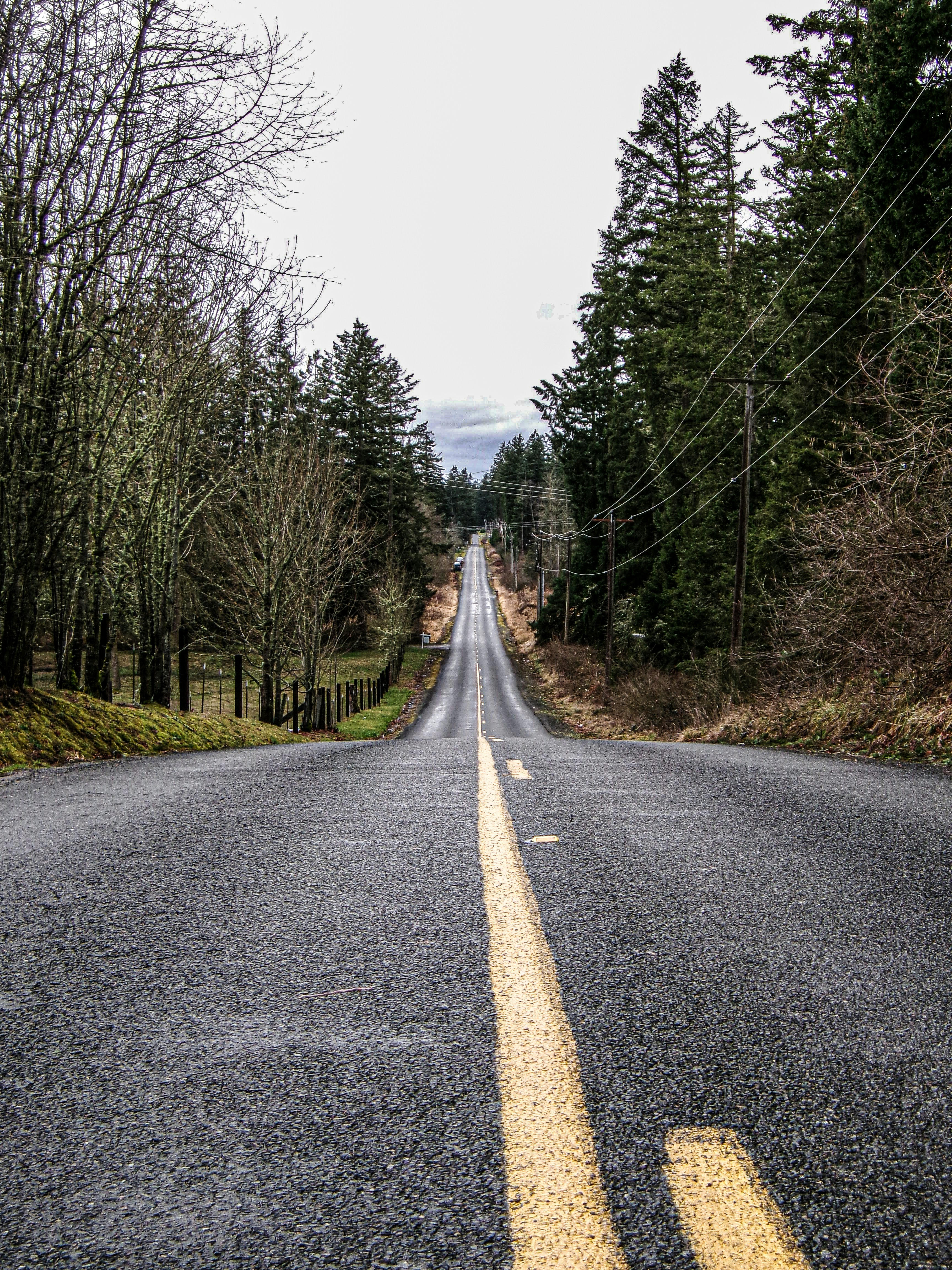 Photo by prphotography262