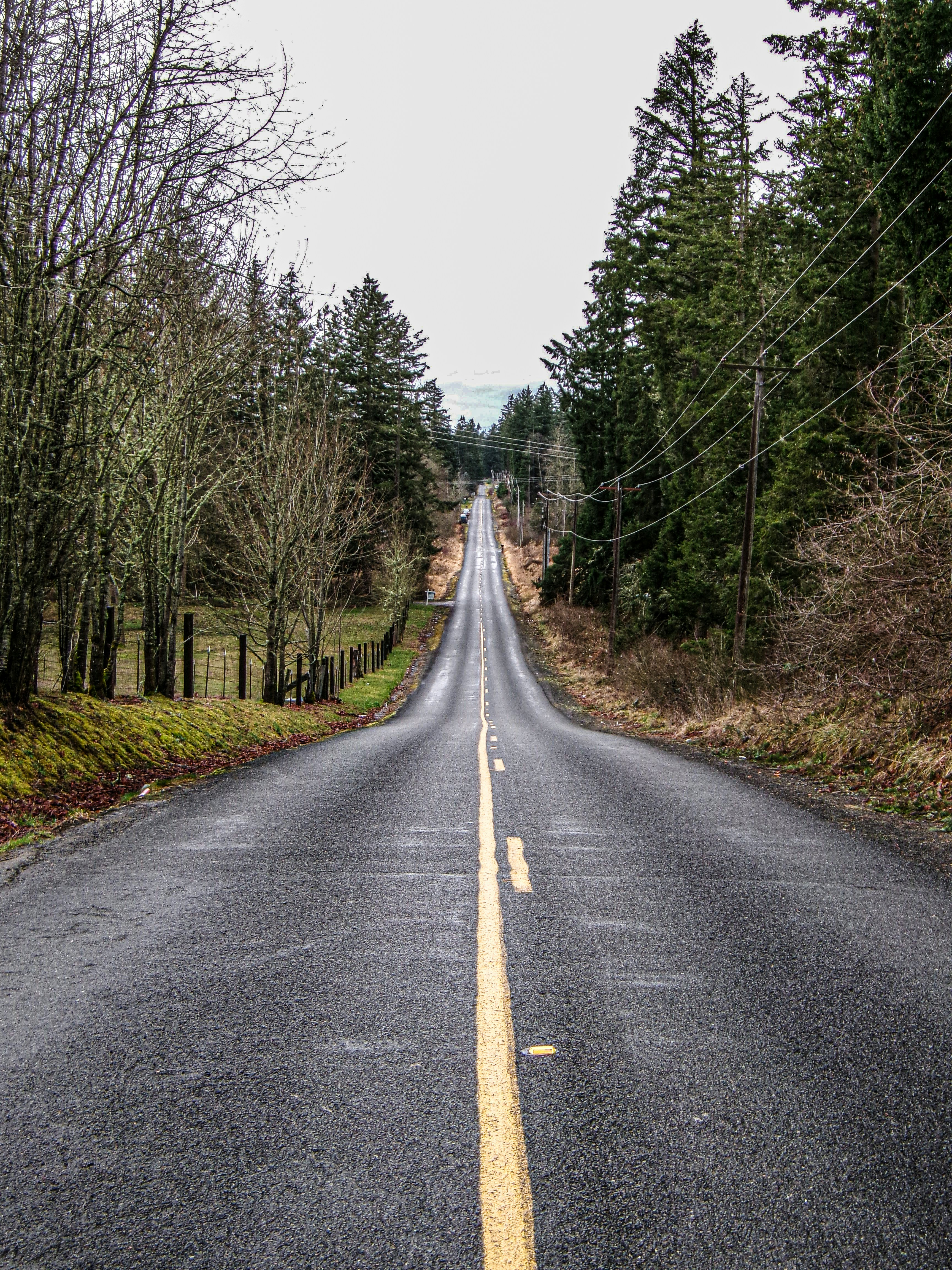 Photo by prphotography262