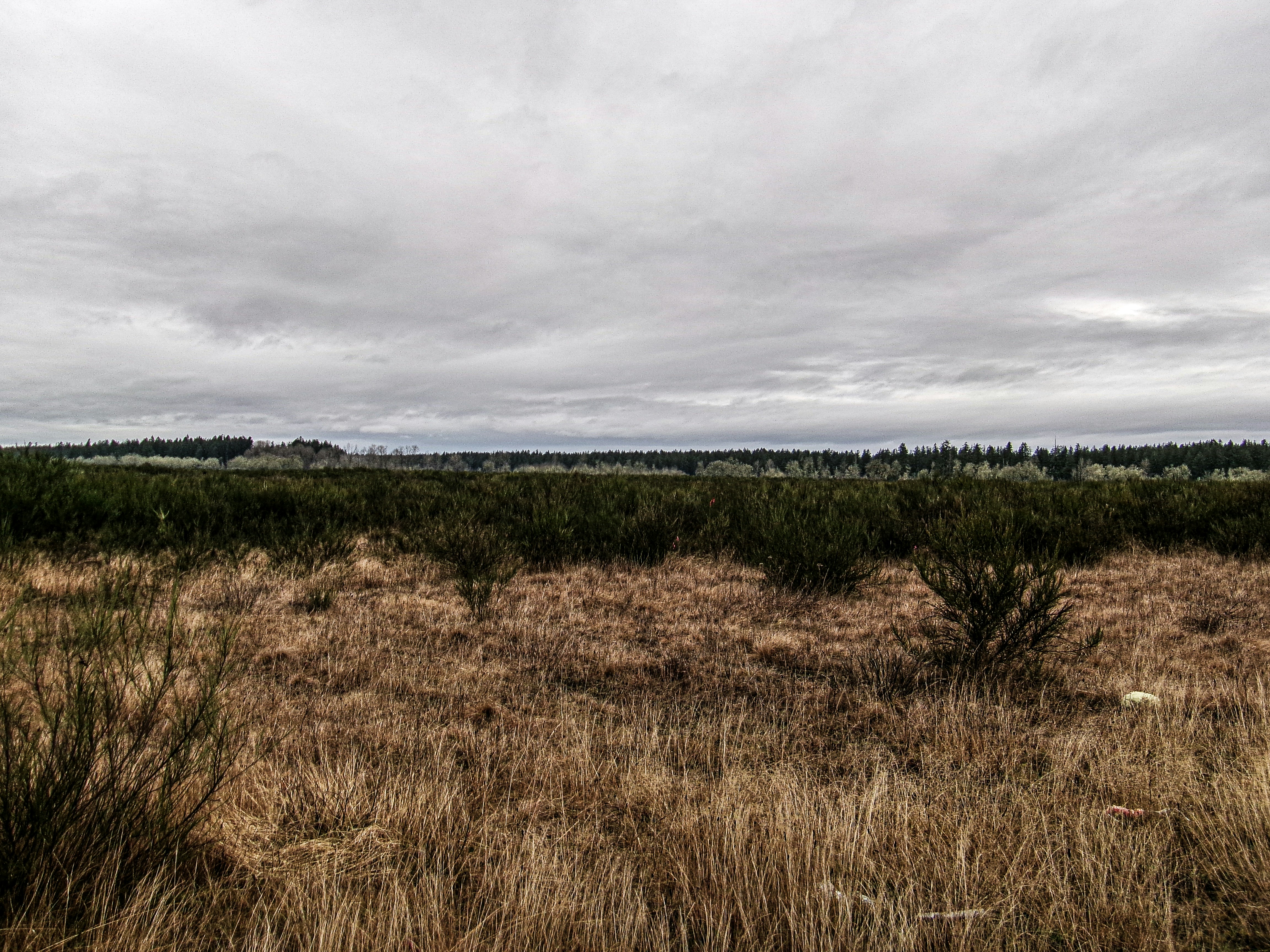 Photo by prphotography262