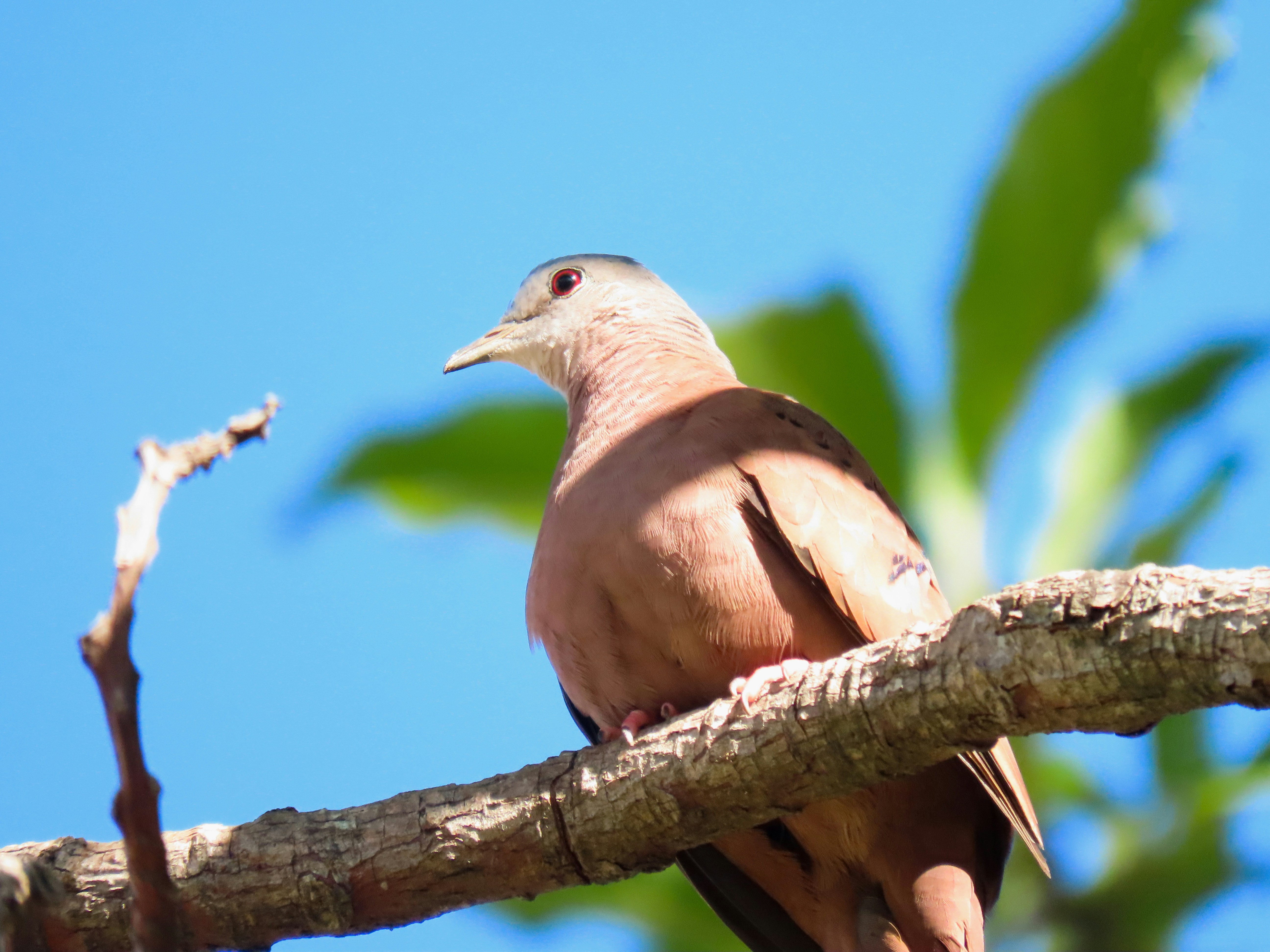 Photo by patricianicoloso