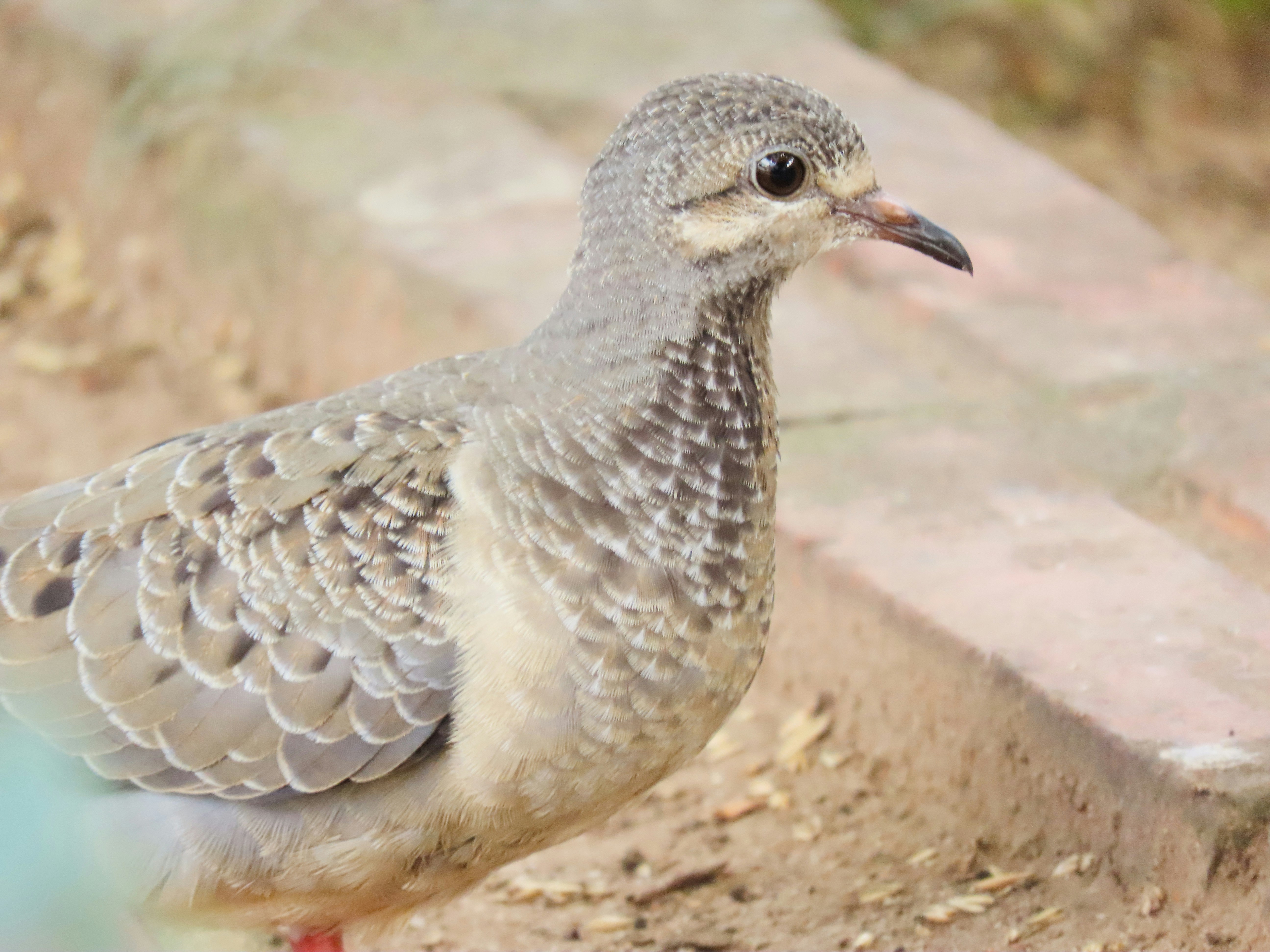 Photo by patricianicoloso