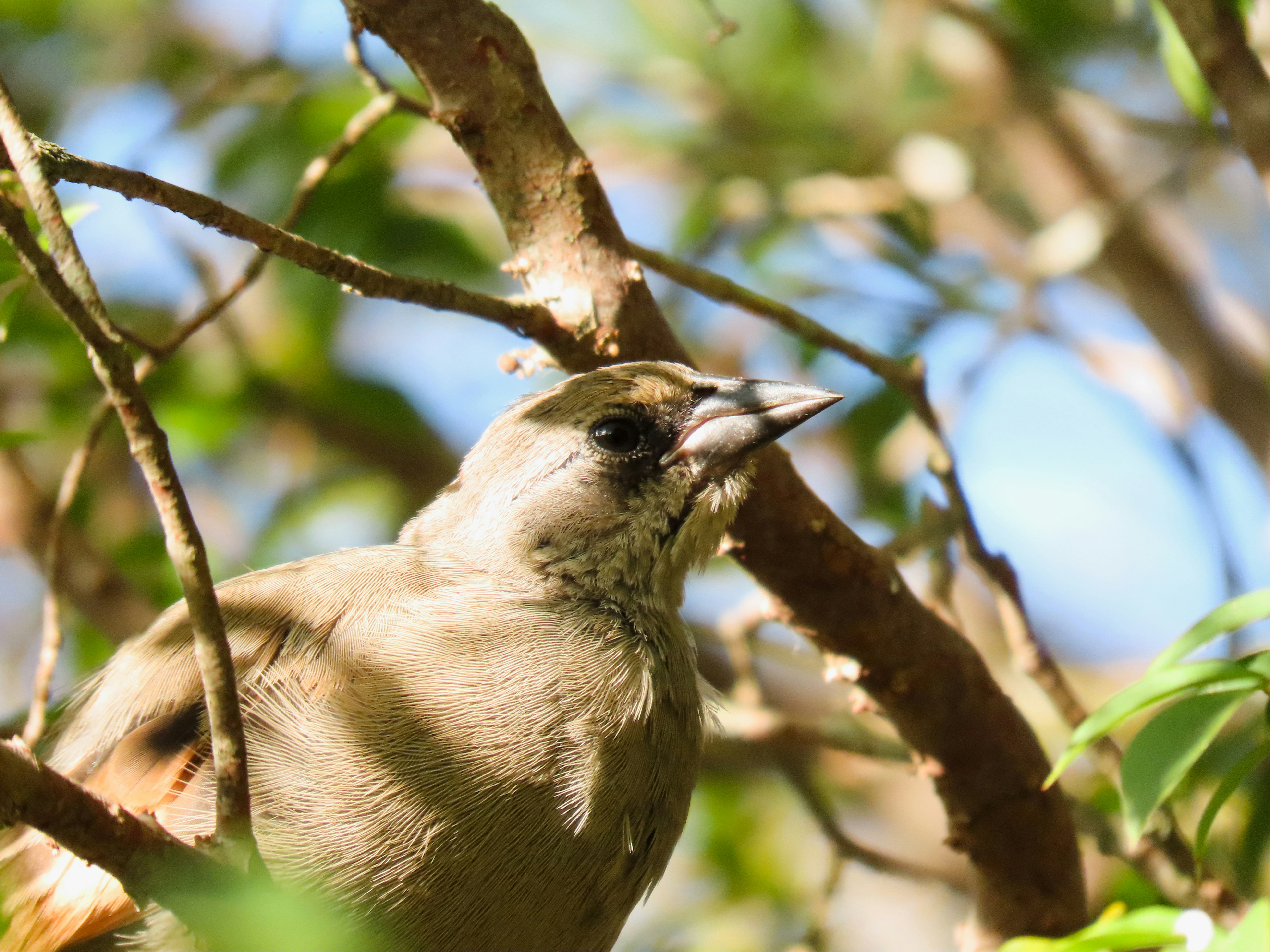 Photo by patricianicoloso