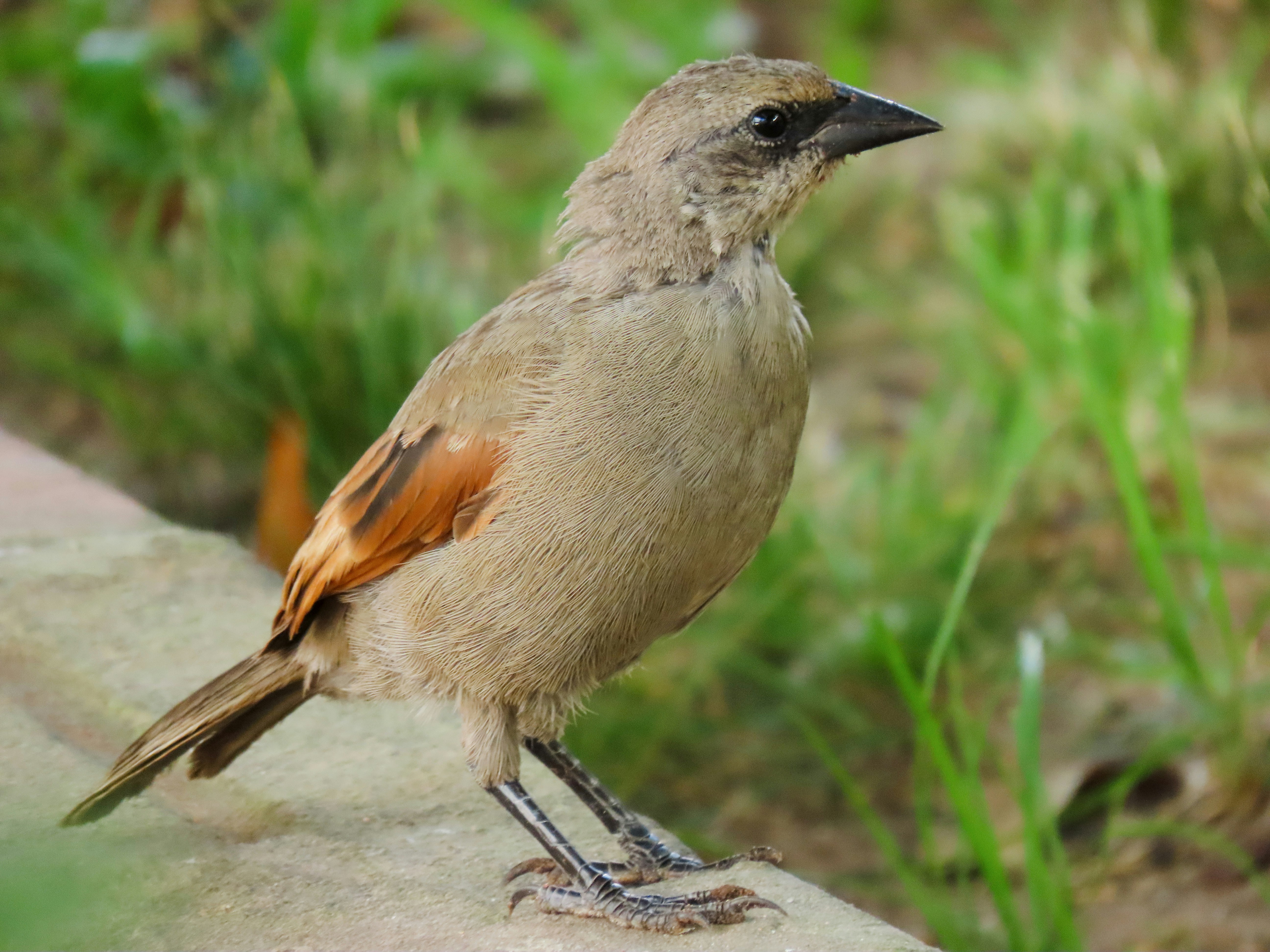 Photo by patricianicoloso